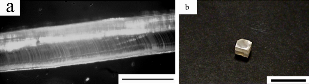 Crystals 04 00190 g005 1024
