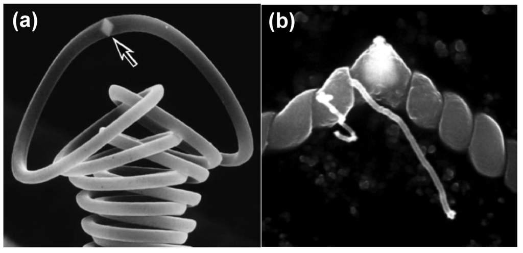 Crystals 04 00466 g010 1024