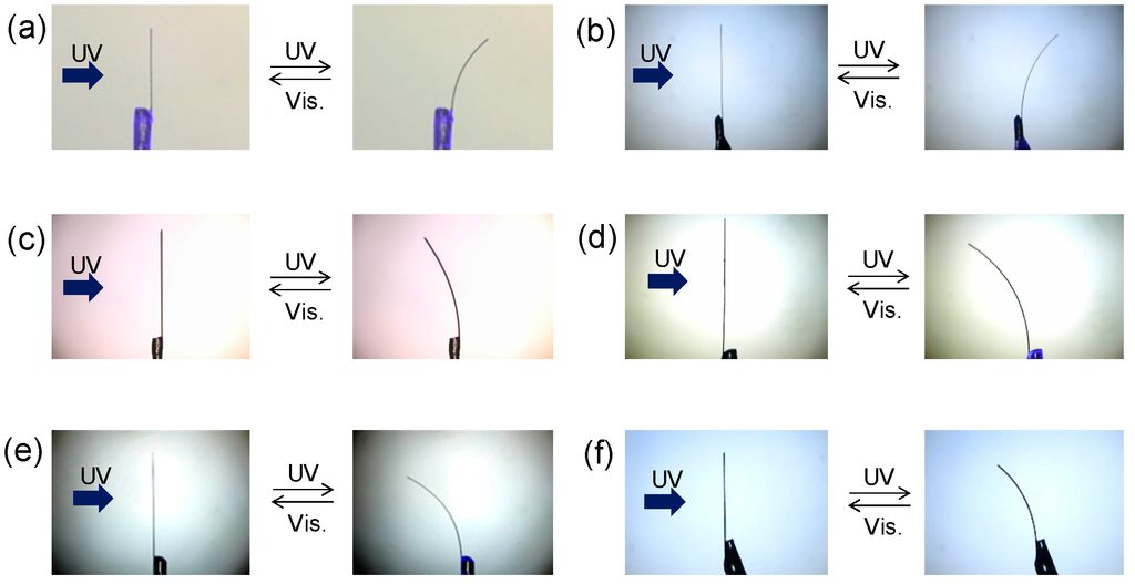 Crystals 05 00551 g001 1024