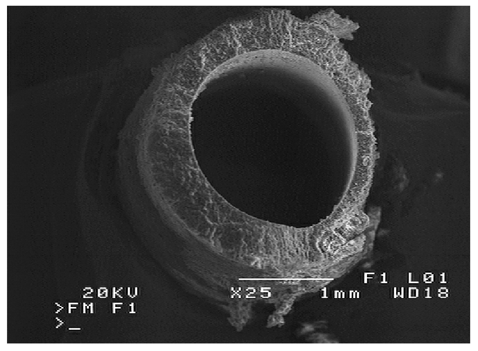 Crystals 06 00033 g010