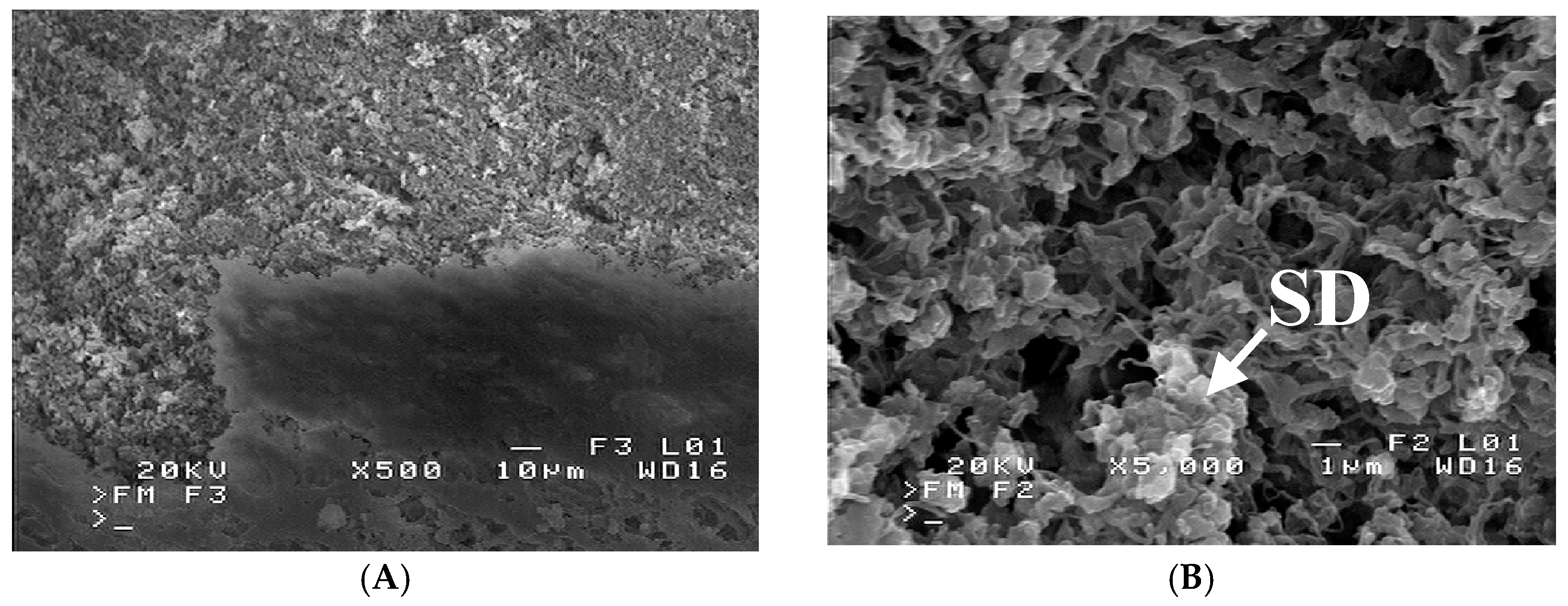 Crystals 06 00033 g011