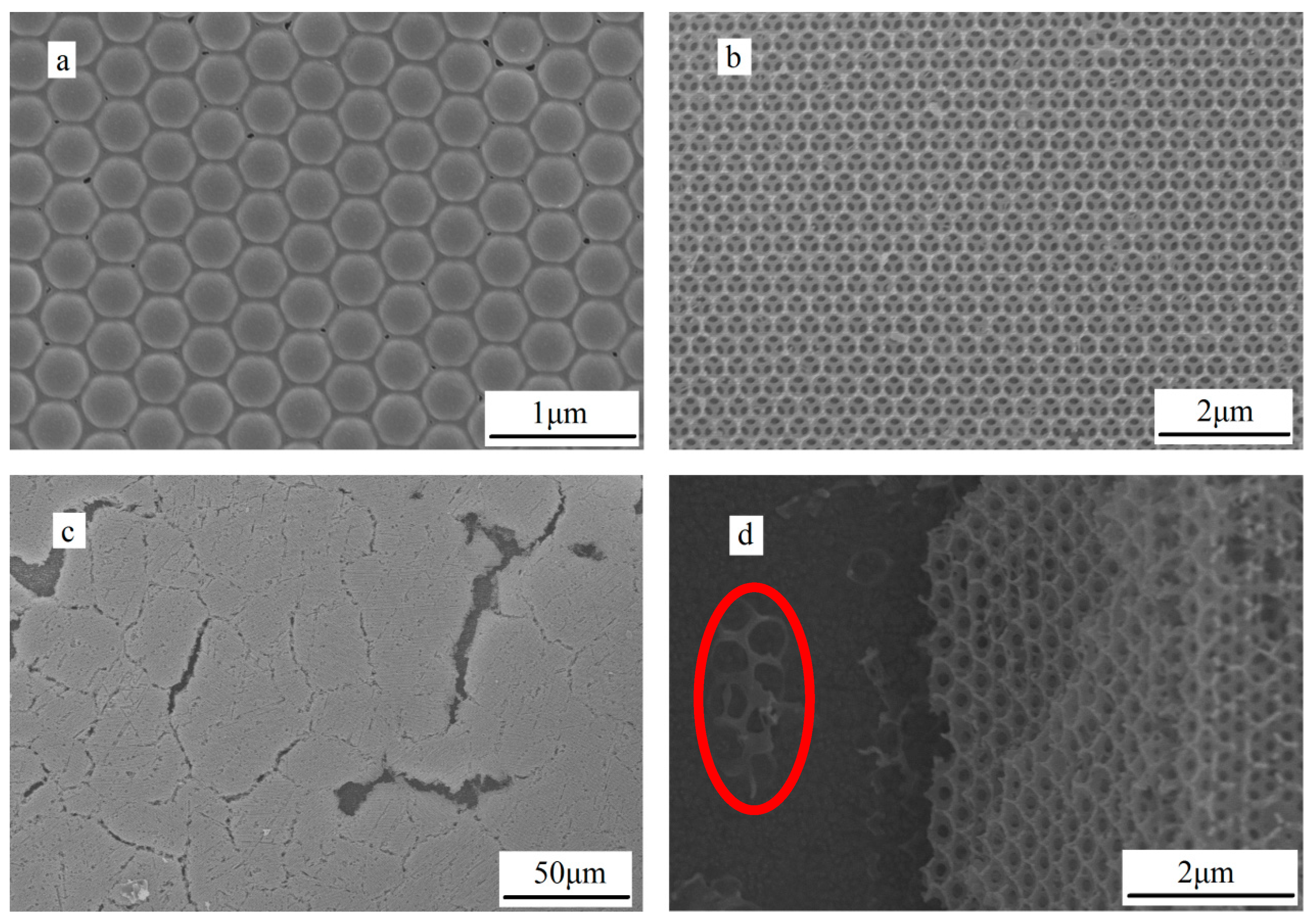 Crystals 06 00076 g003