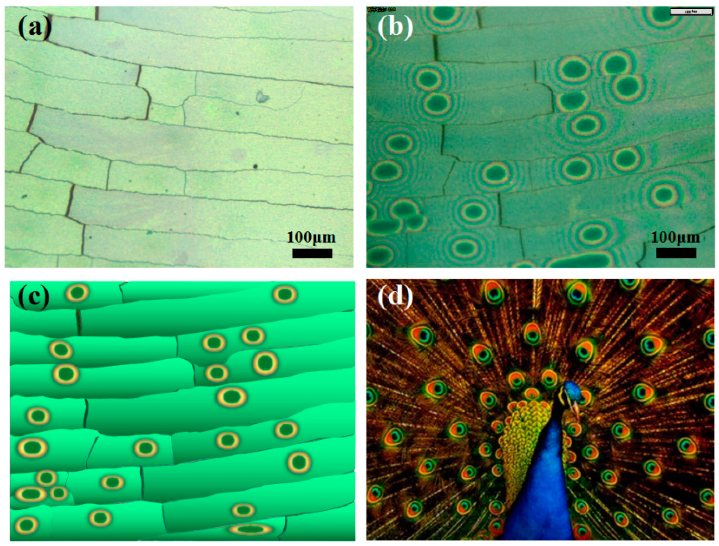 Crystals 06 00099 g001