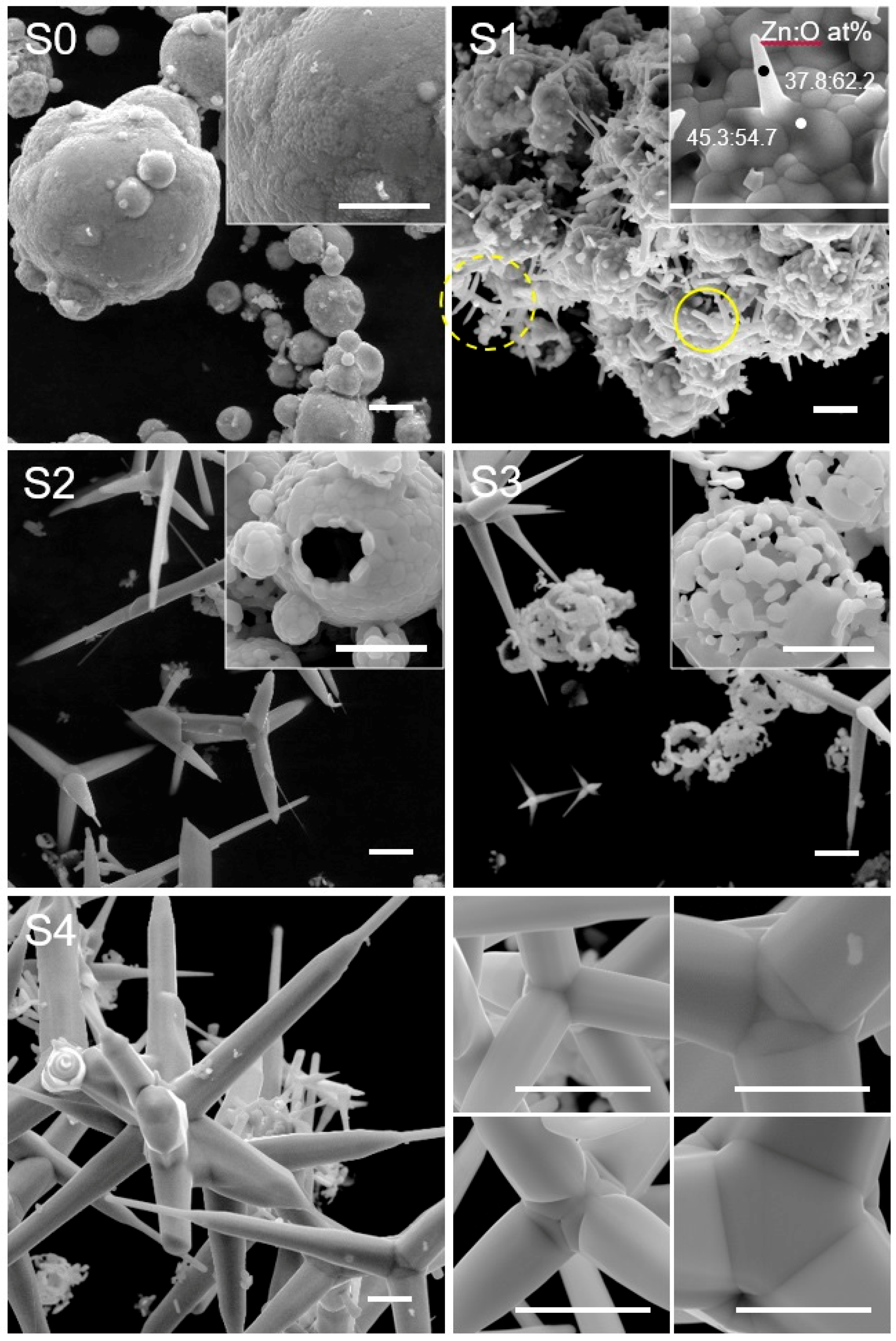Crystals 06 00135 g003