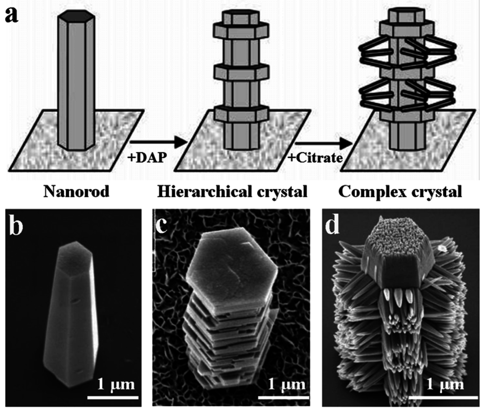 Crystals 06 00148 g001