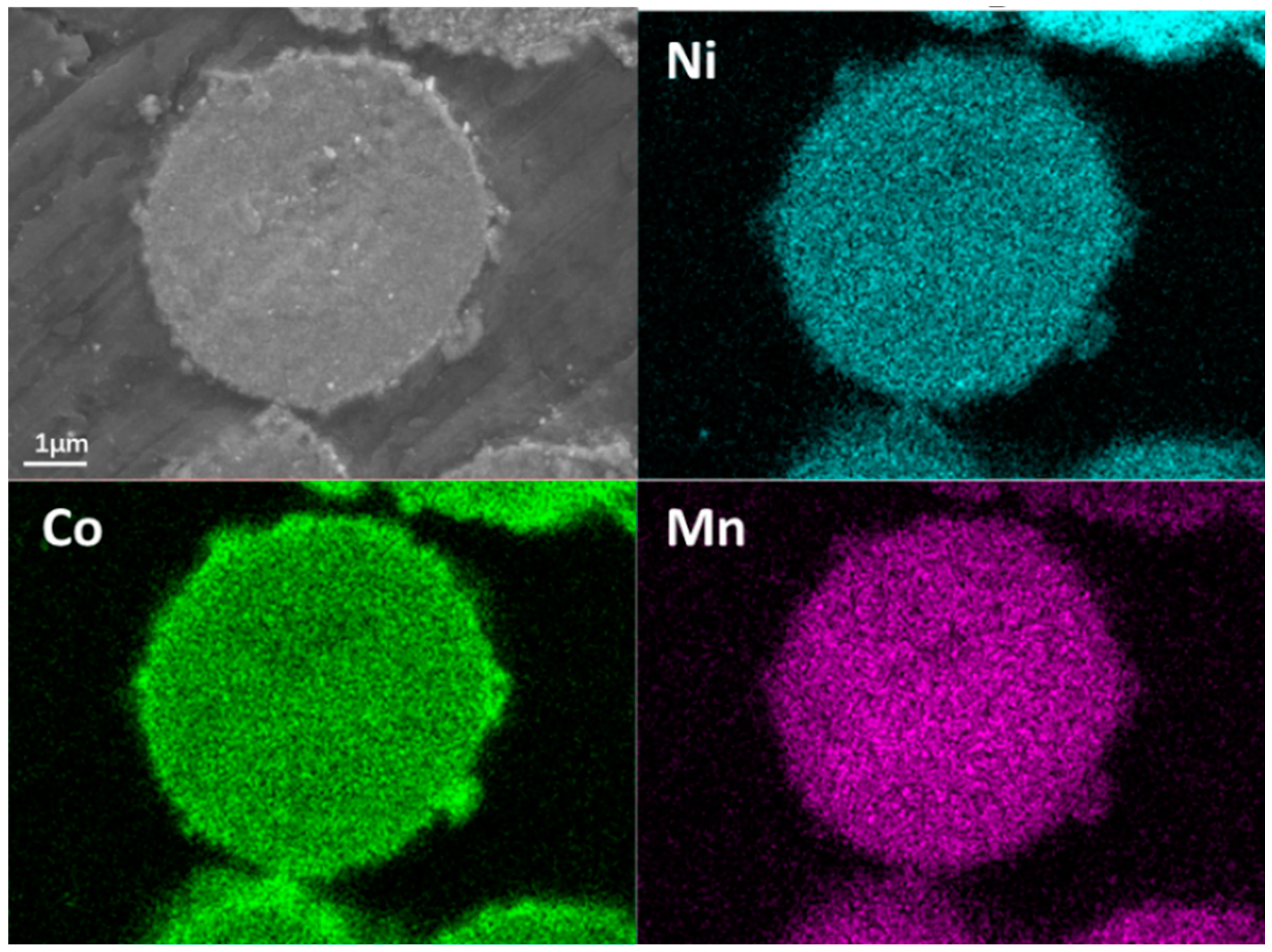 Crystals 06 00156 g010