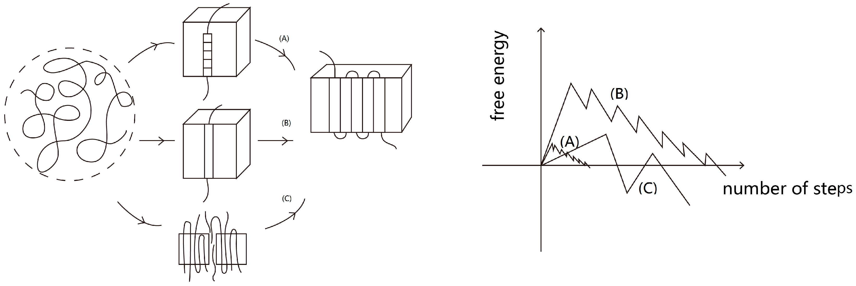 Crystals 07 00004 g007