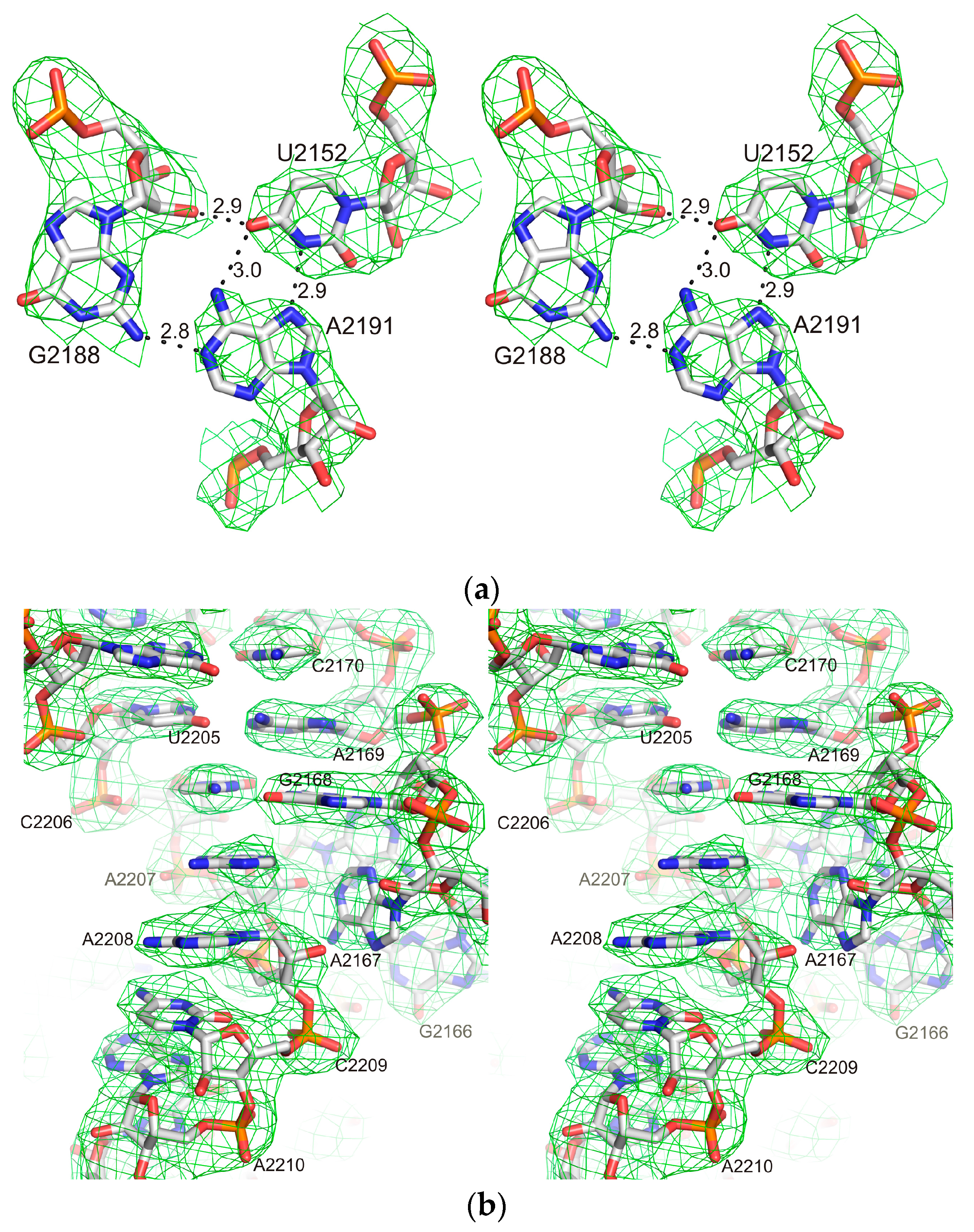 Crystals 07 00037 g002