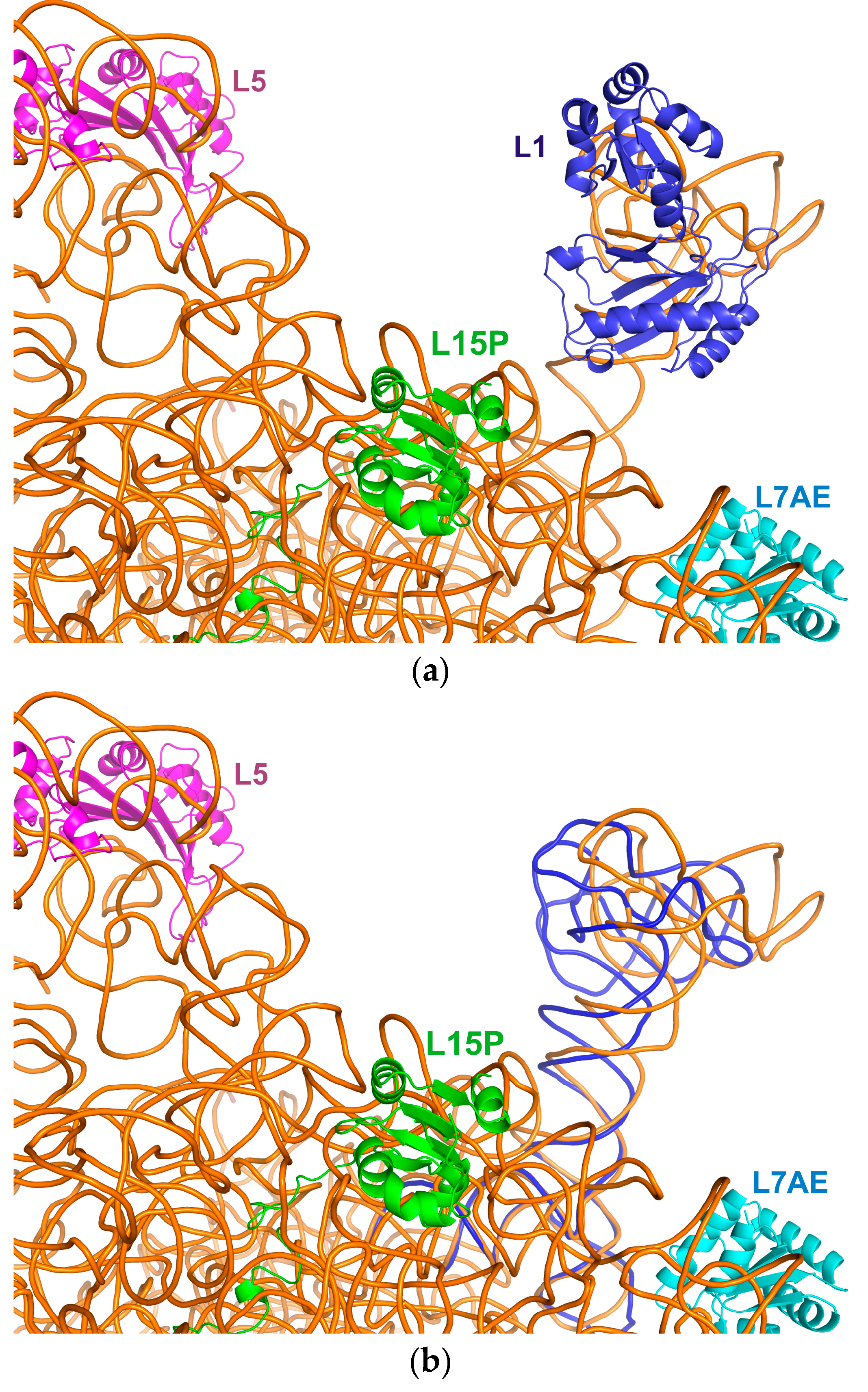 Crystals 07 00037 g005