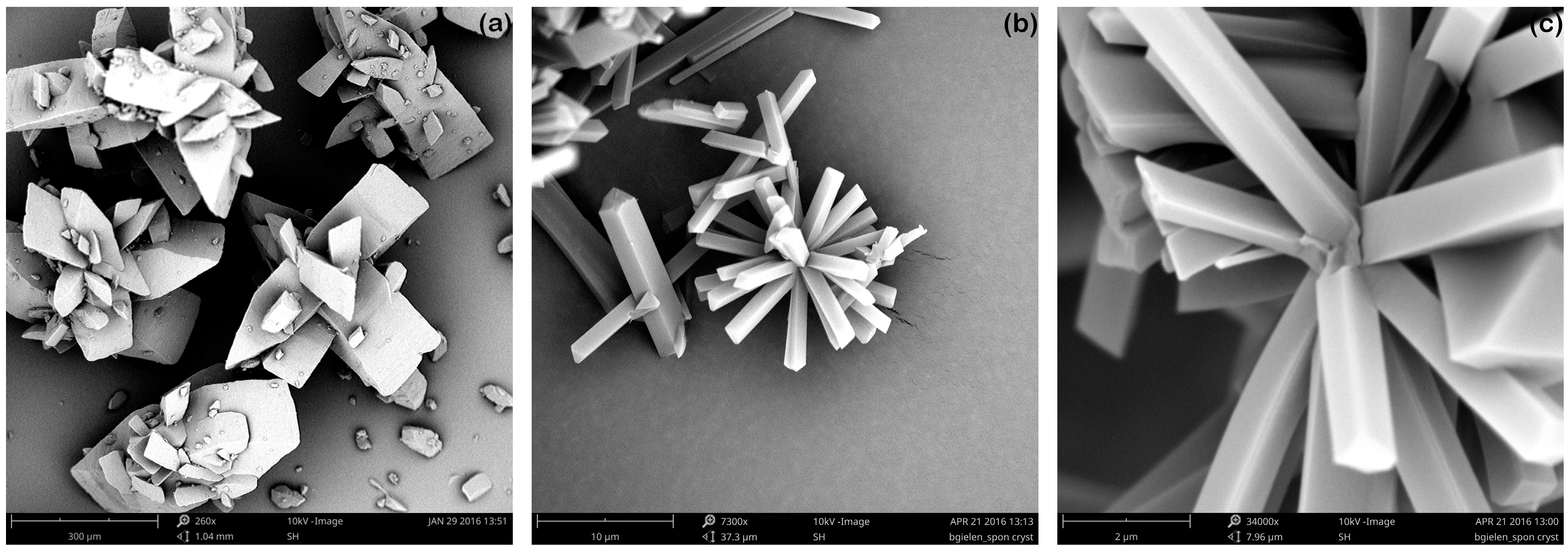 Crystals 07 00040 g004