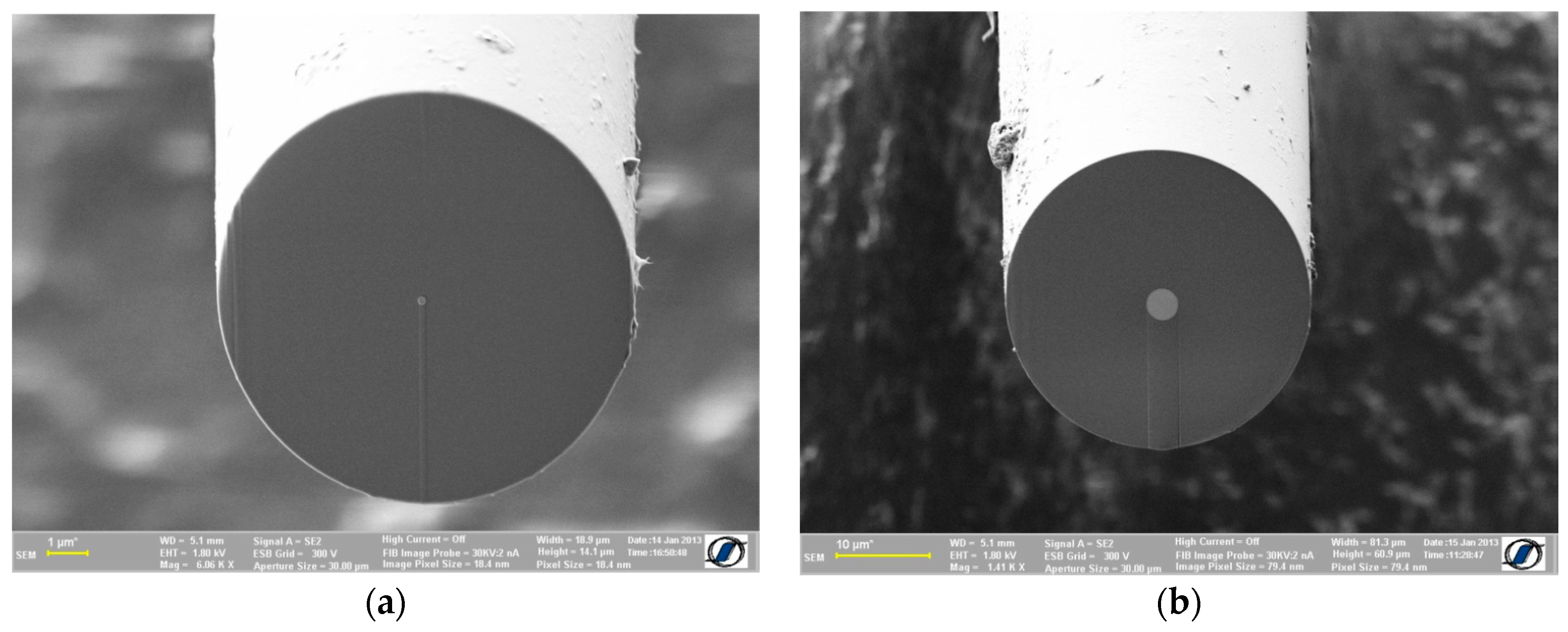 Crystals 07 00048 g004