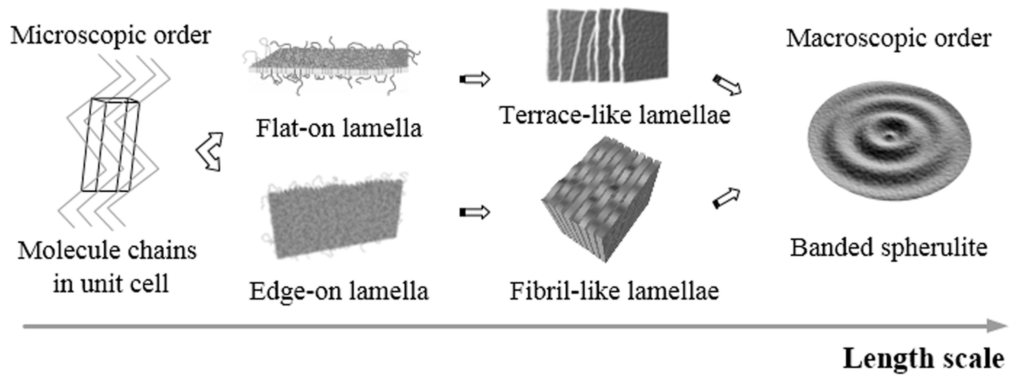 Crystals 07 00056 g010