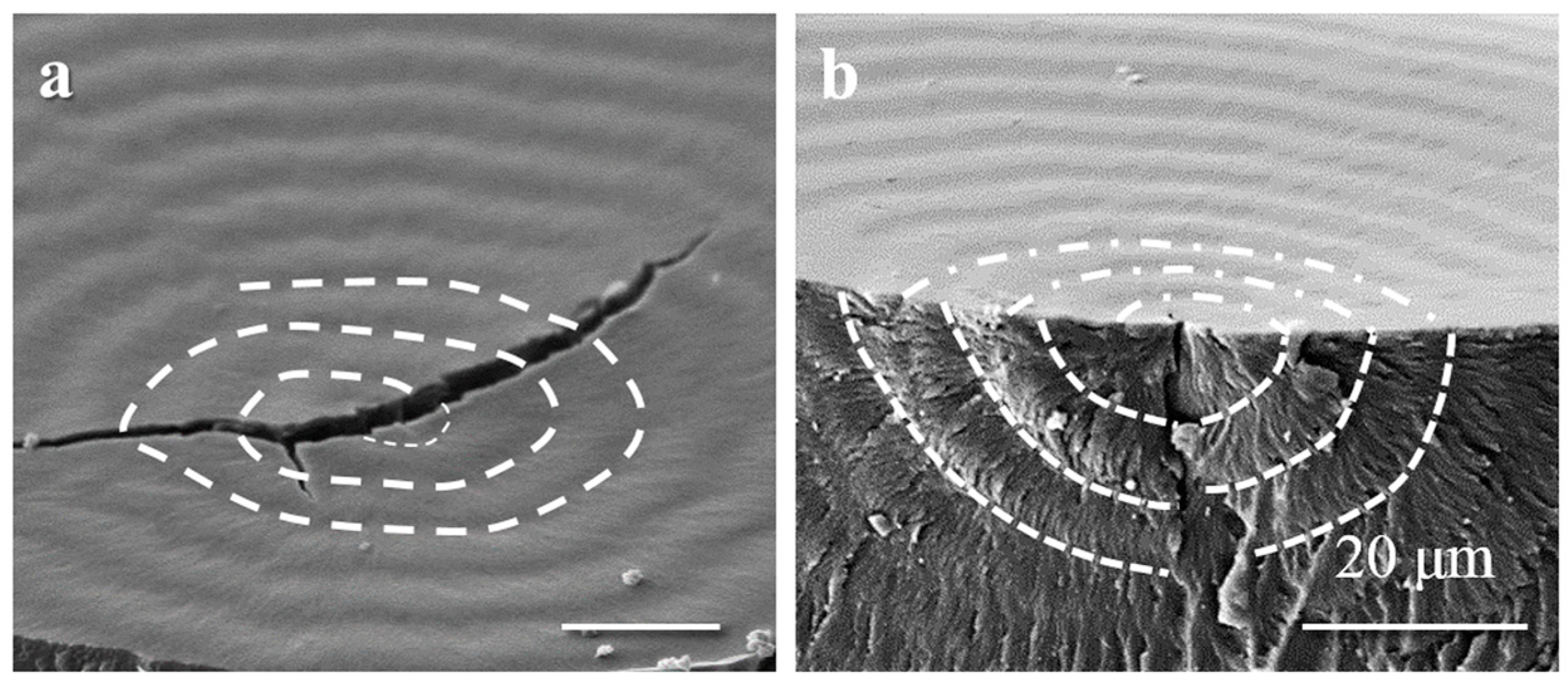Crystals 07 00056 g011