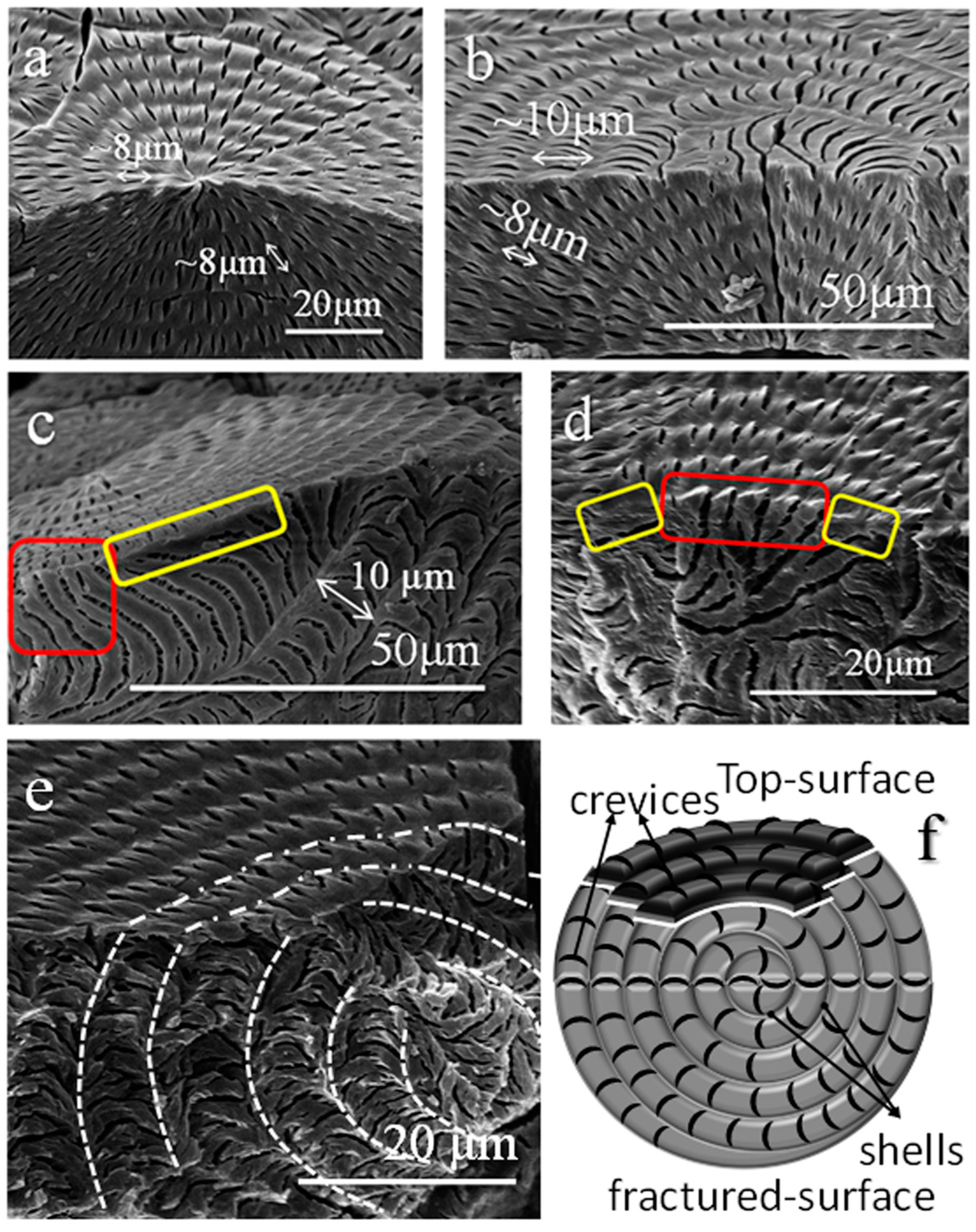 Crystals 07 00056 g013