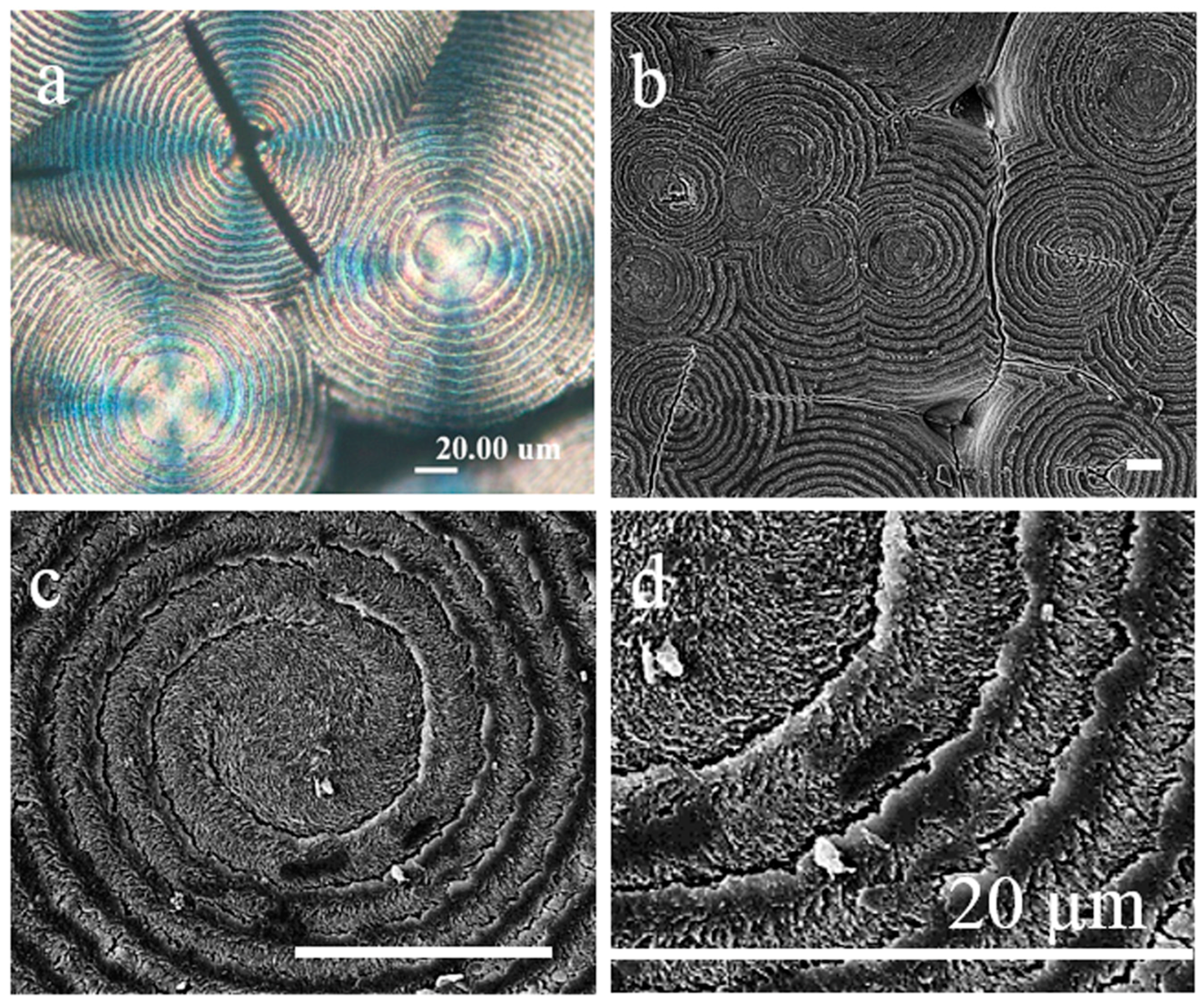 Crystals 07 00056 g014