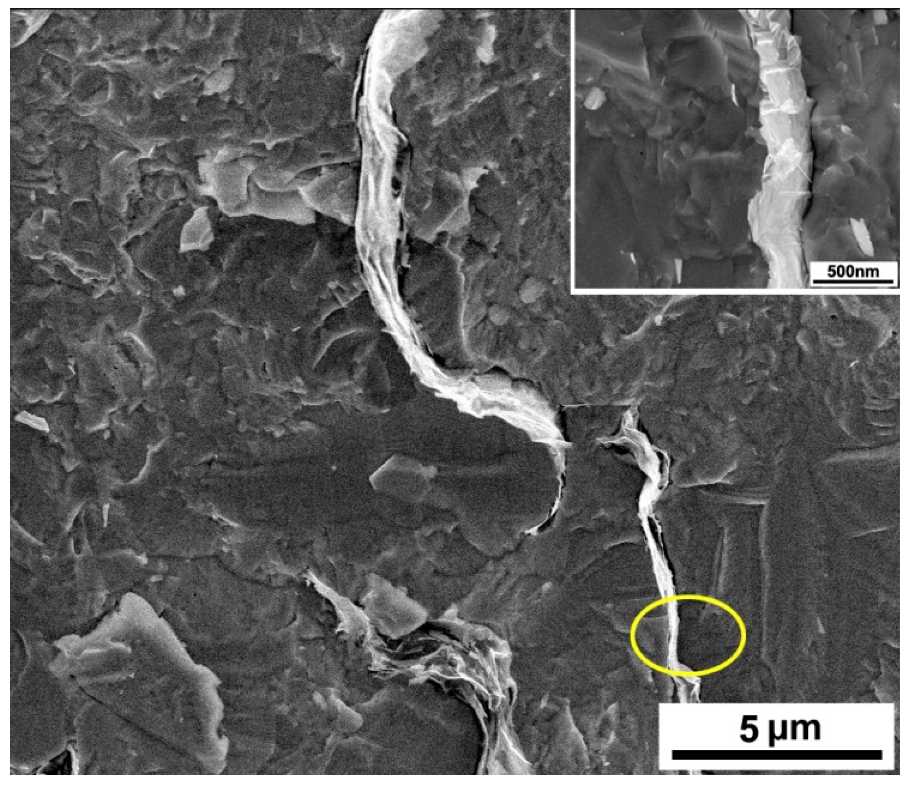 Crystals 07 00071 g007