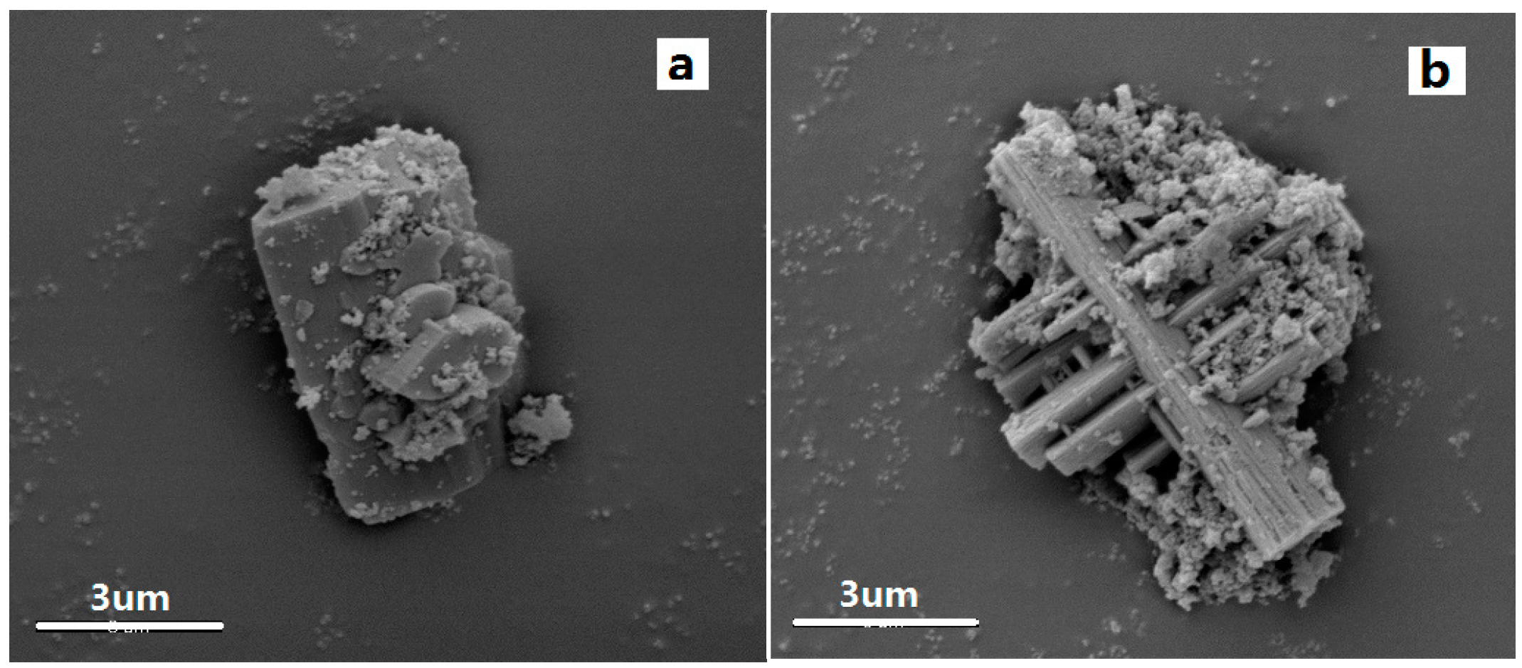 Crystals 07 00089 g006