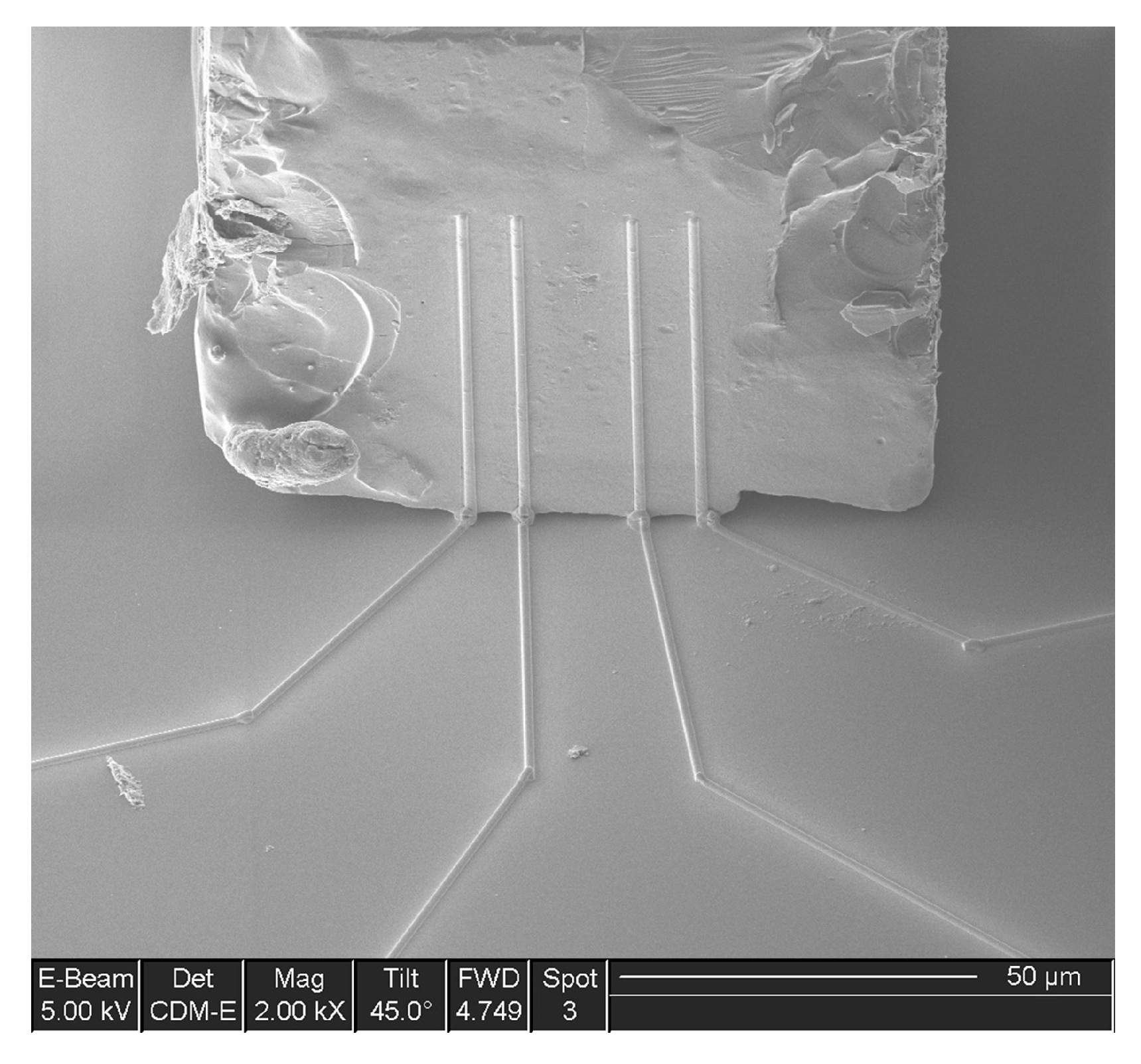 Crystals 07 00091 g009