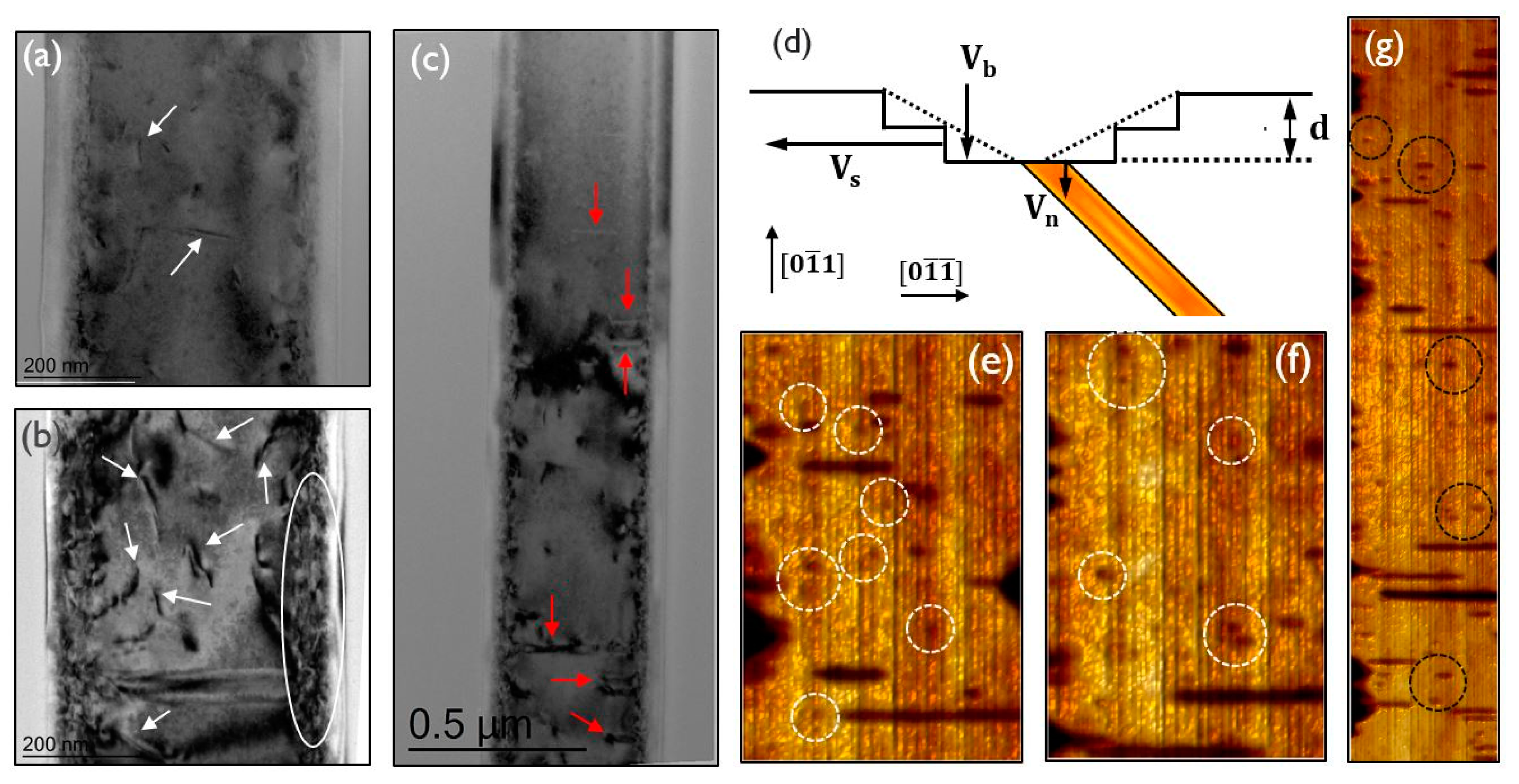 Crystals 07 00098 g006