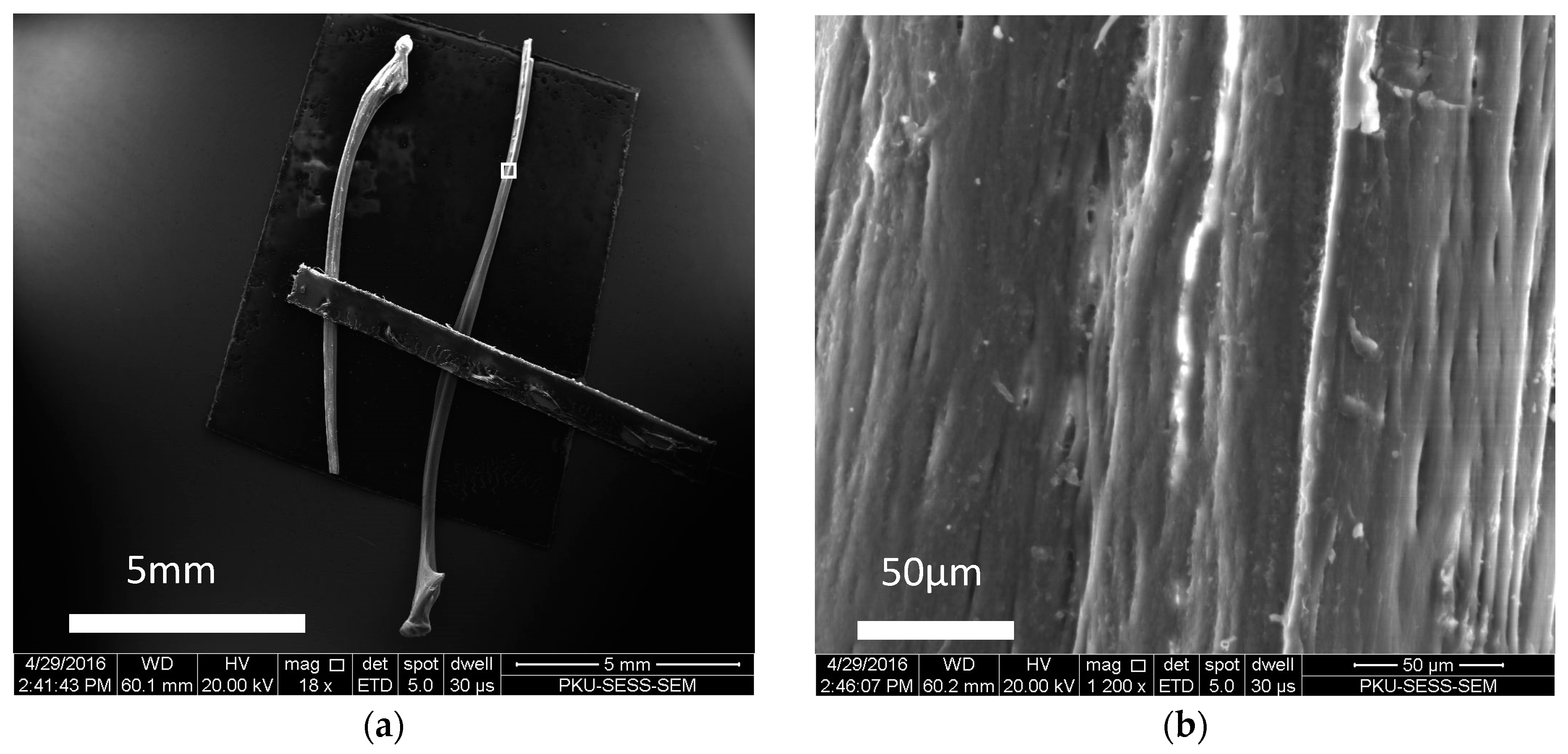 Crystals 07 00103 g001