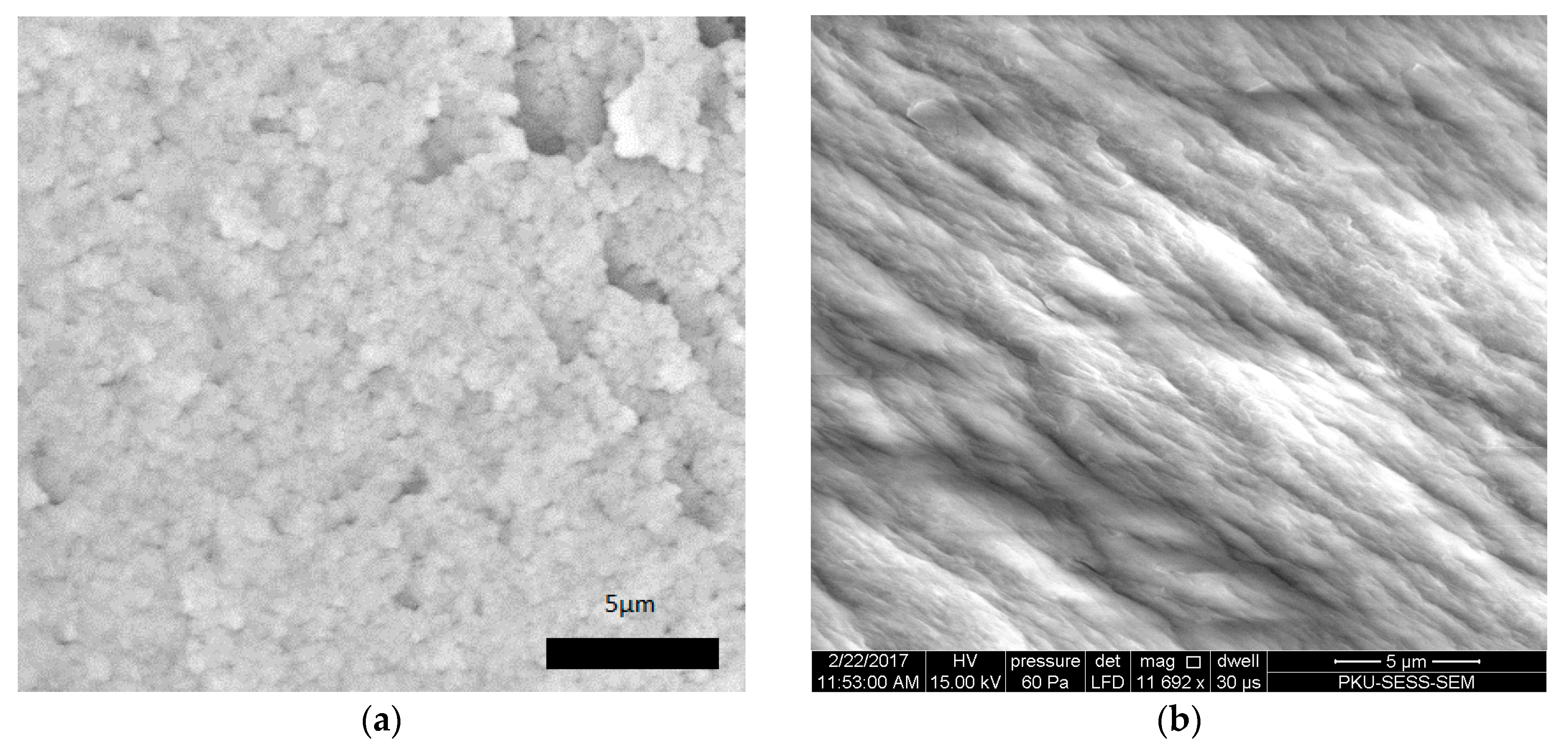 Crystals 07 00103 g006