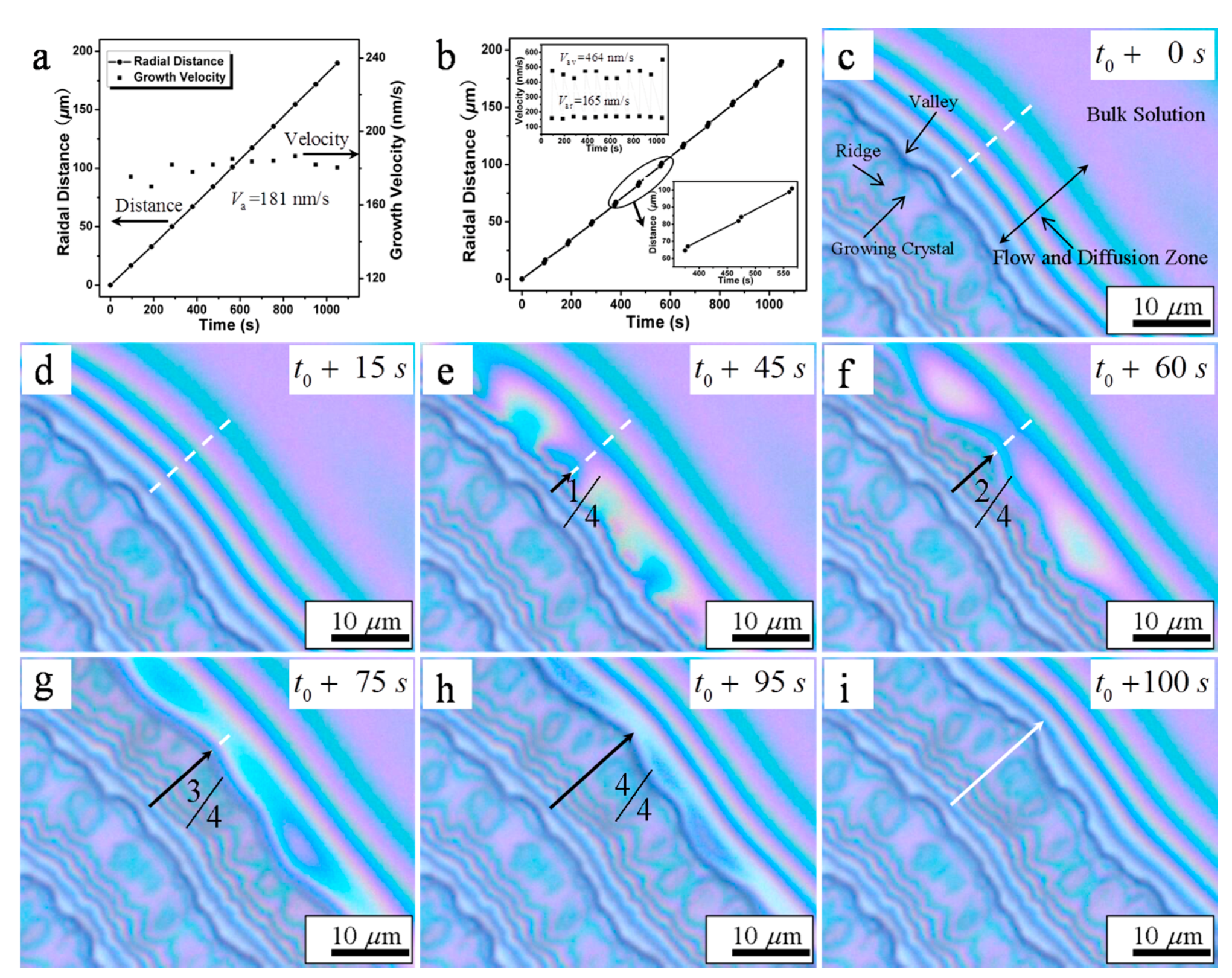 Crystals 07 00115 g013