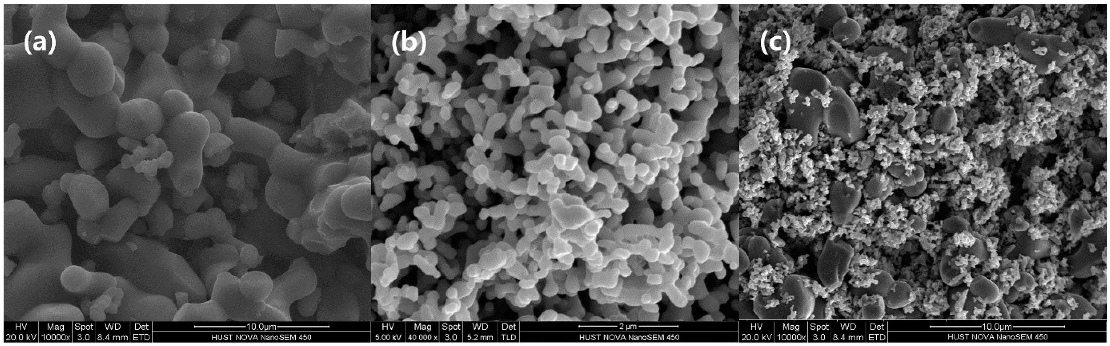 Crystals 07 00126 g004