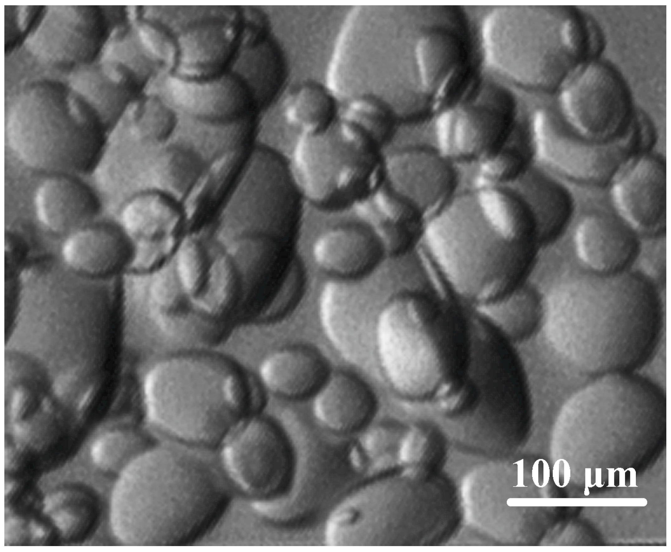 Crystals 07 00128 g004