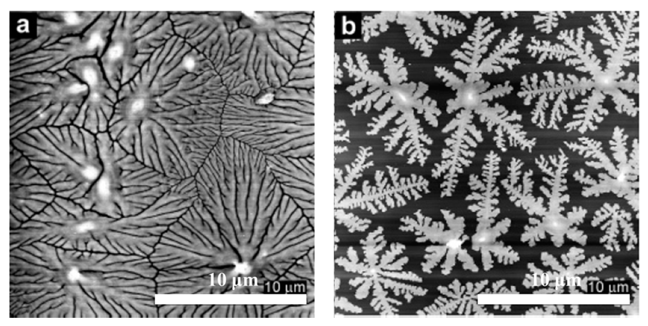 Crystals 07 00147 g003