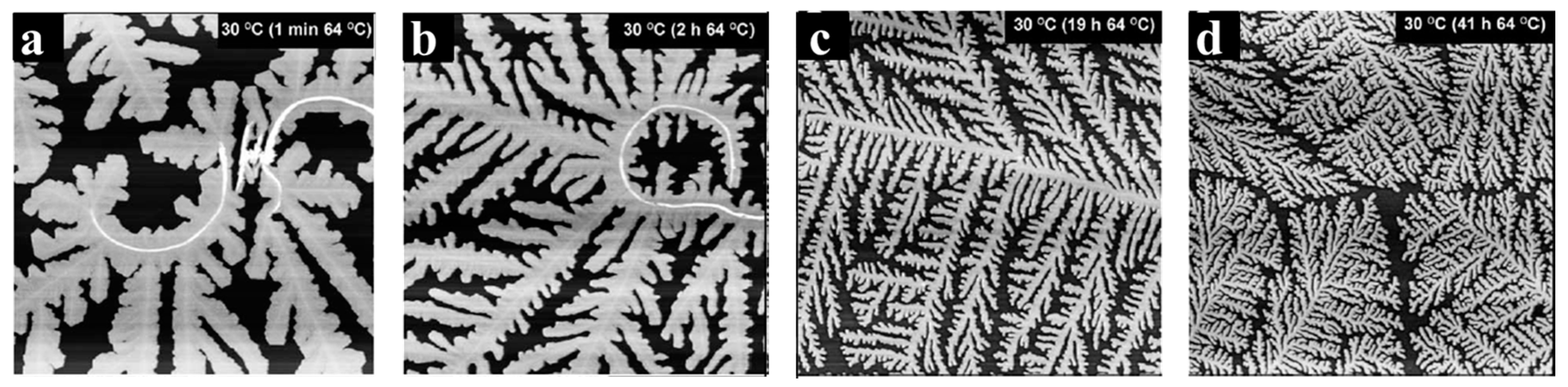 Crystals 07 00147 g006