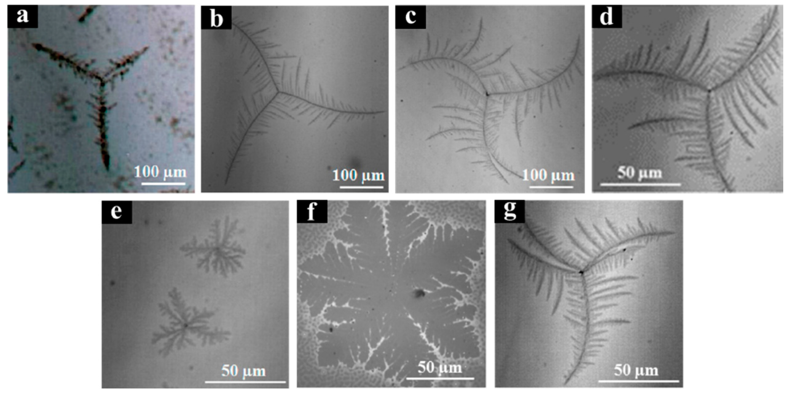 Crystals 07 00147 g010
