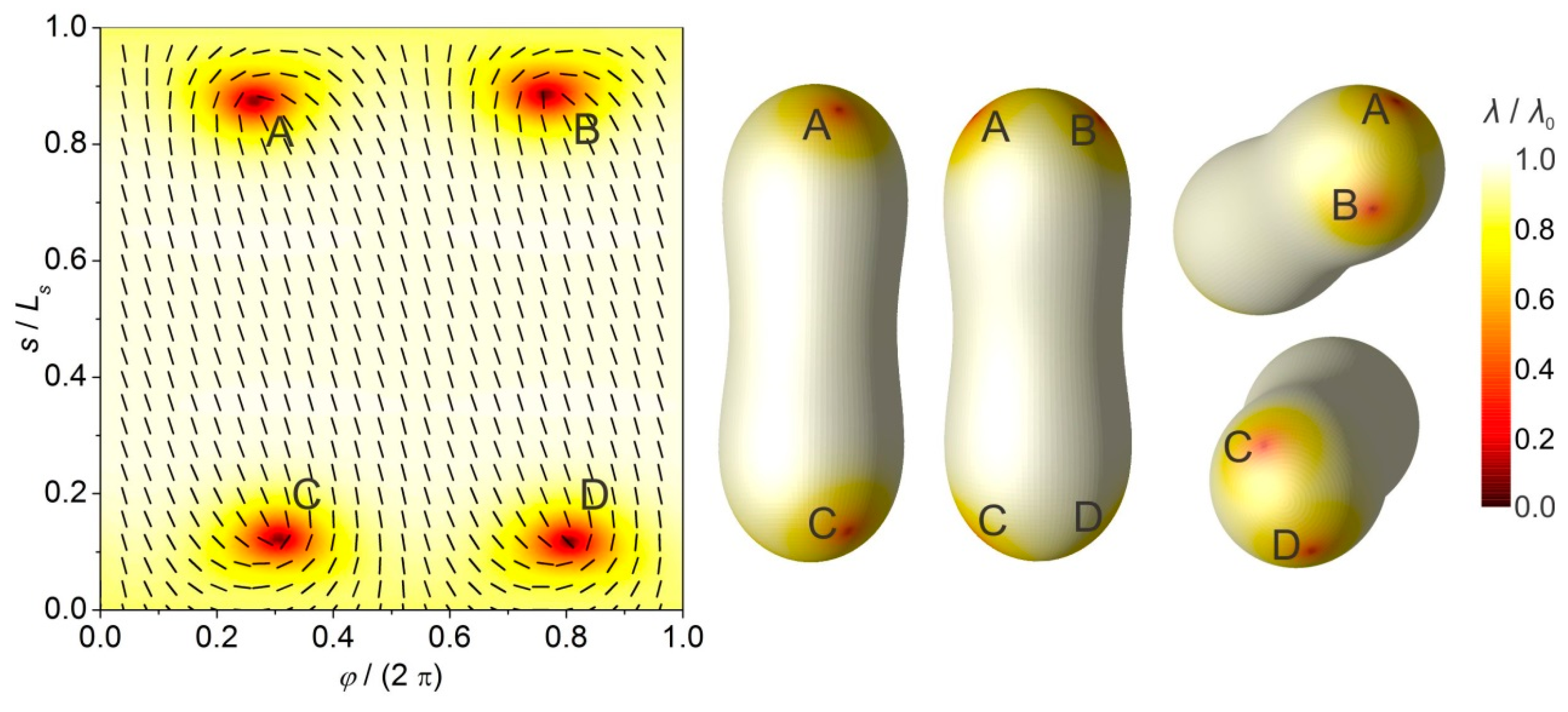 Crystals 07 00153 g005
