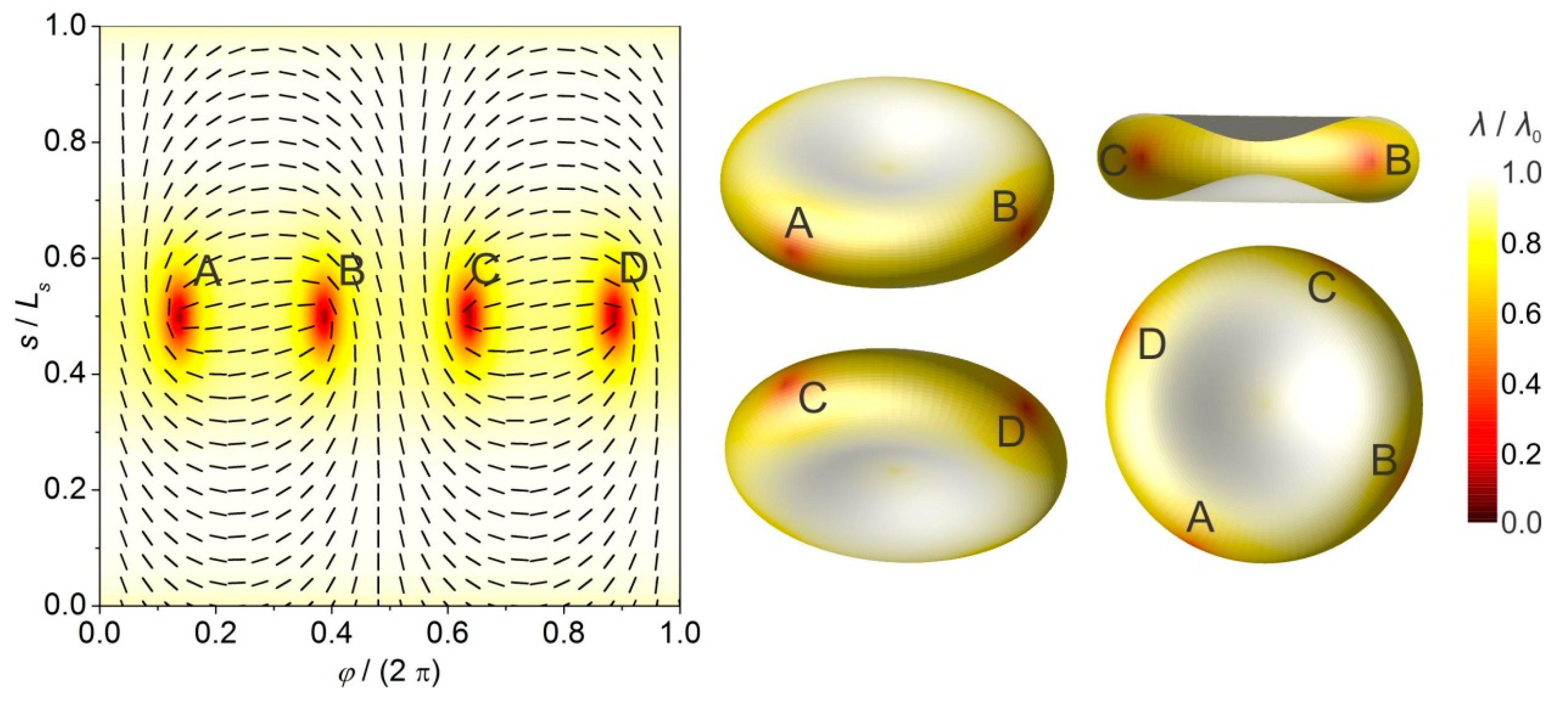 Crystals 07 00153 g006