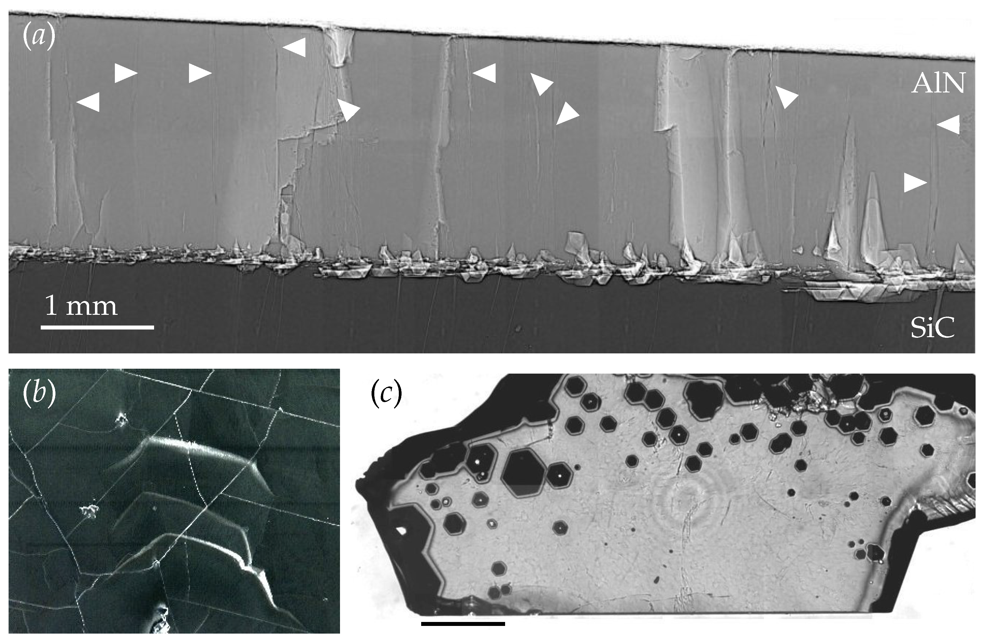 Crystals 07 00163 g002 Crystals 07 00163 g002