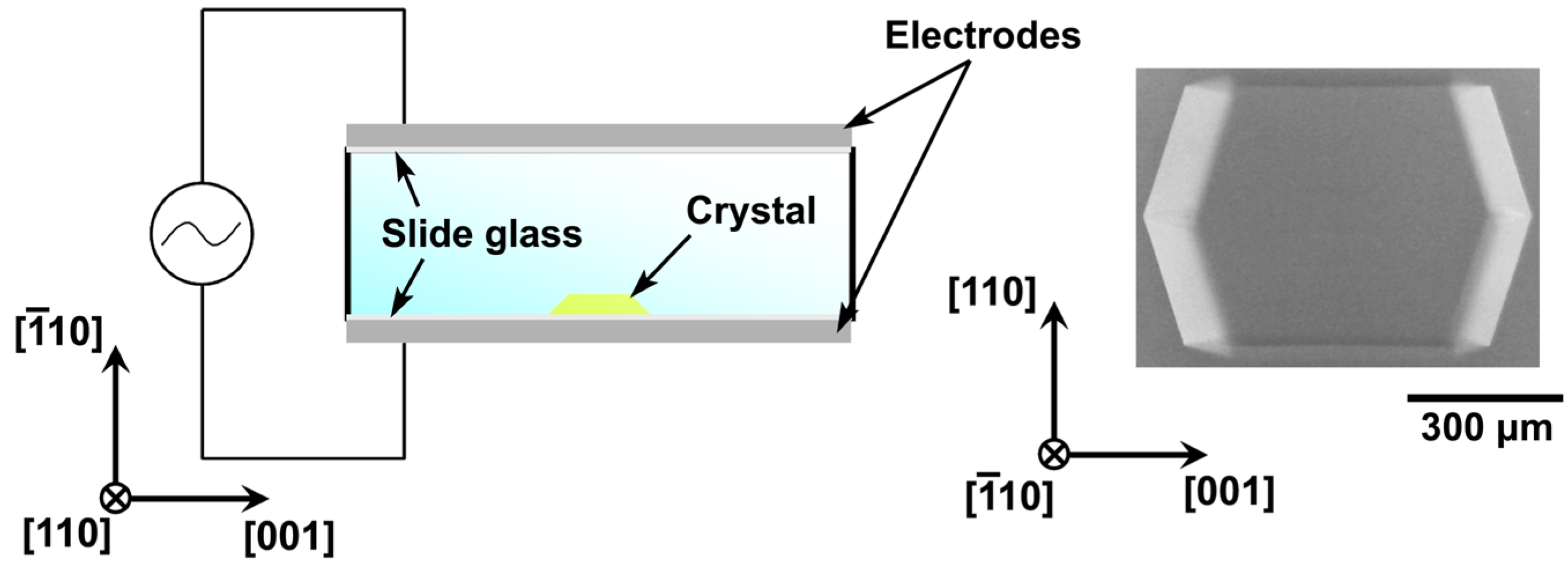 Crystals 07 00170 g001