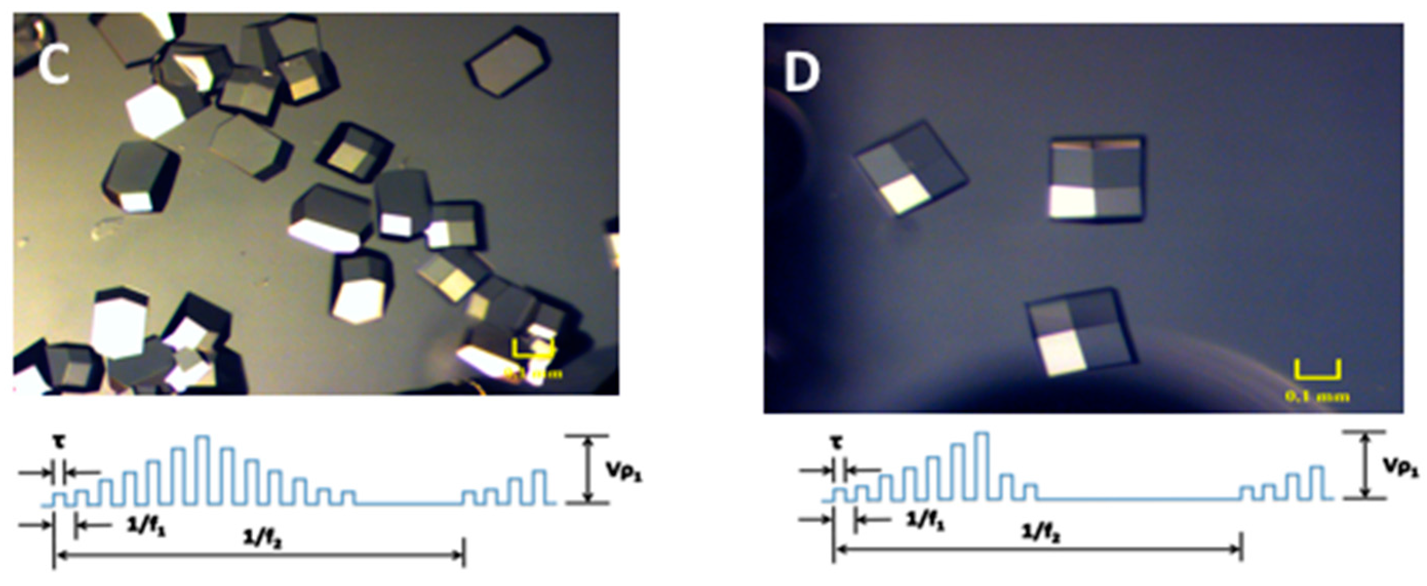 Crystals 07 00179 g002b