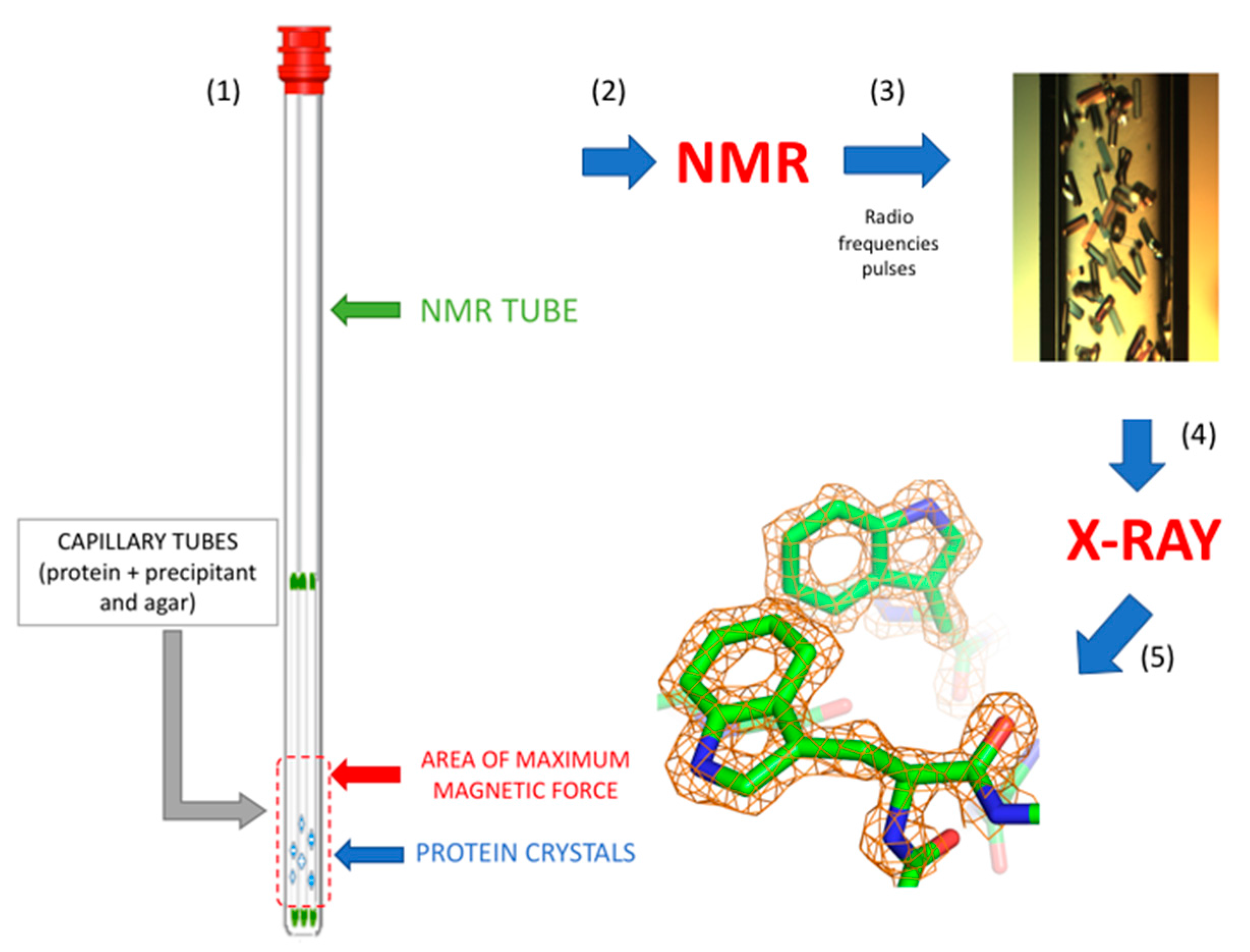 Crystals 07 00179 g005