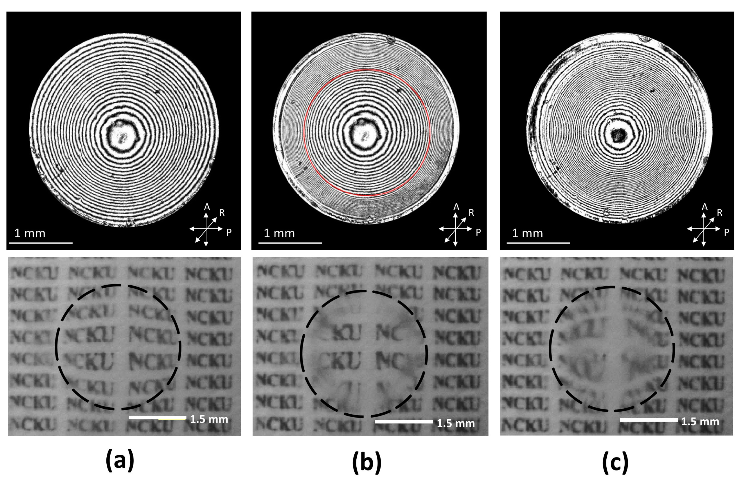 Crystals 07 00209 g008