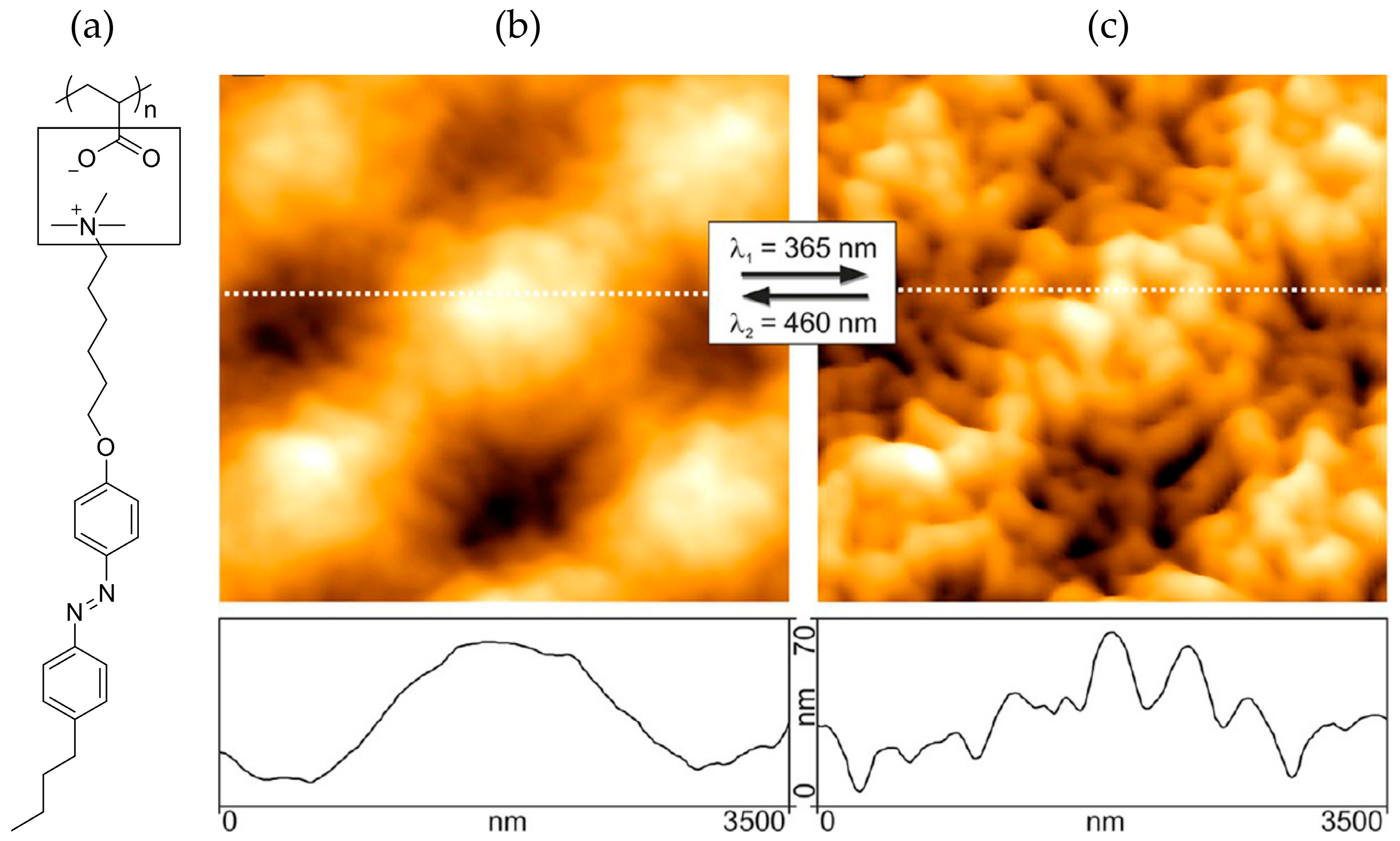 Crystals 07 00231 g008