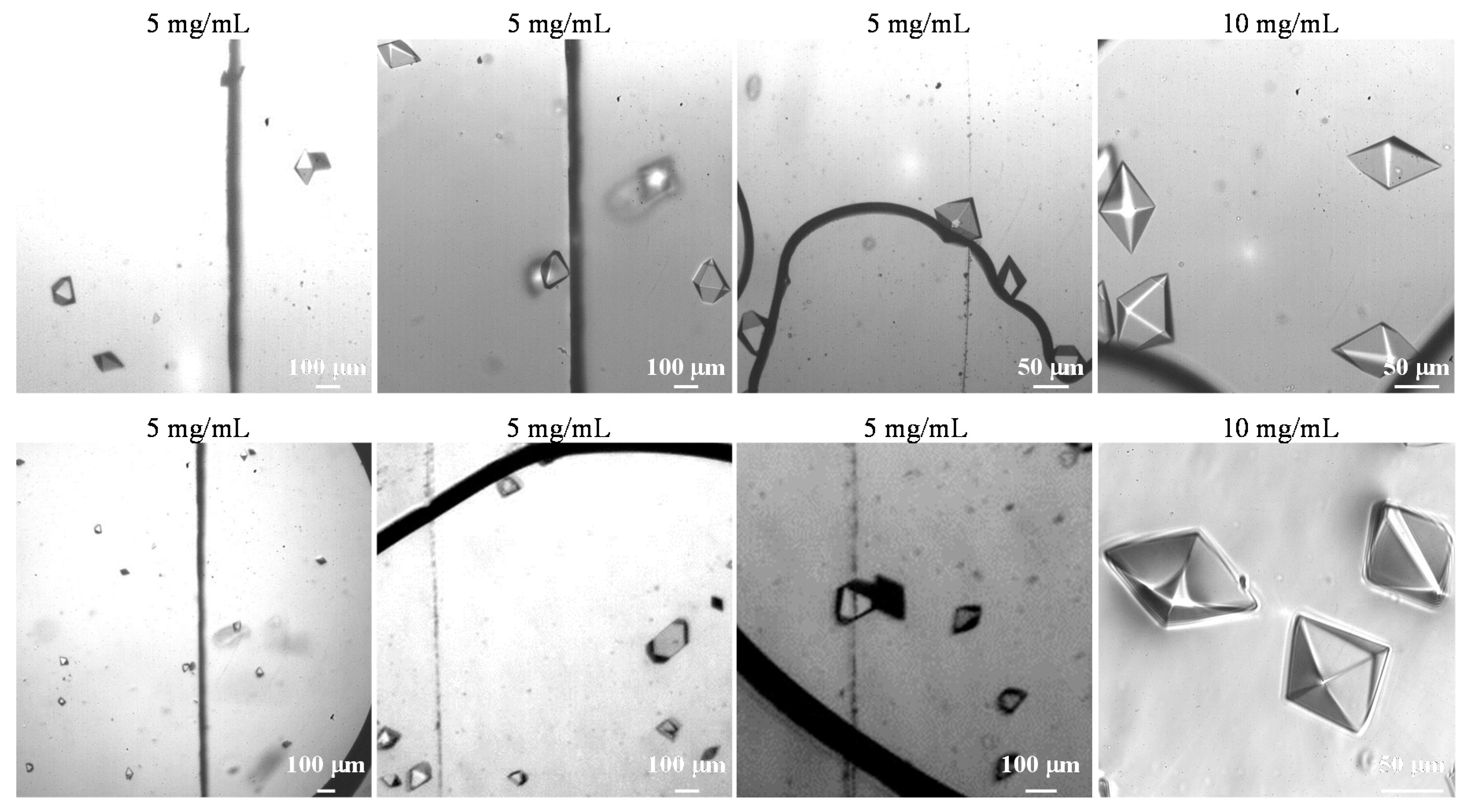Crystals 07 00245 g005b