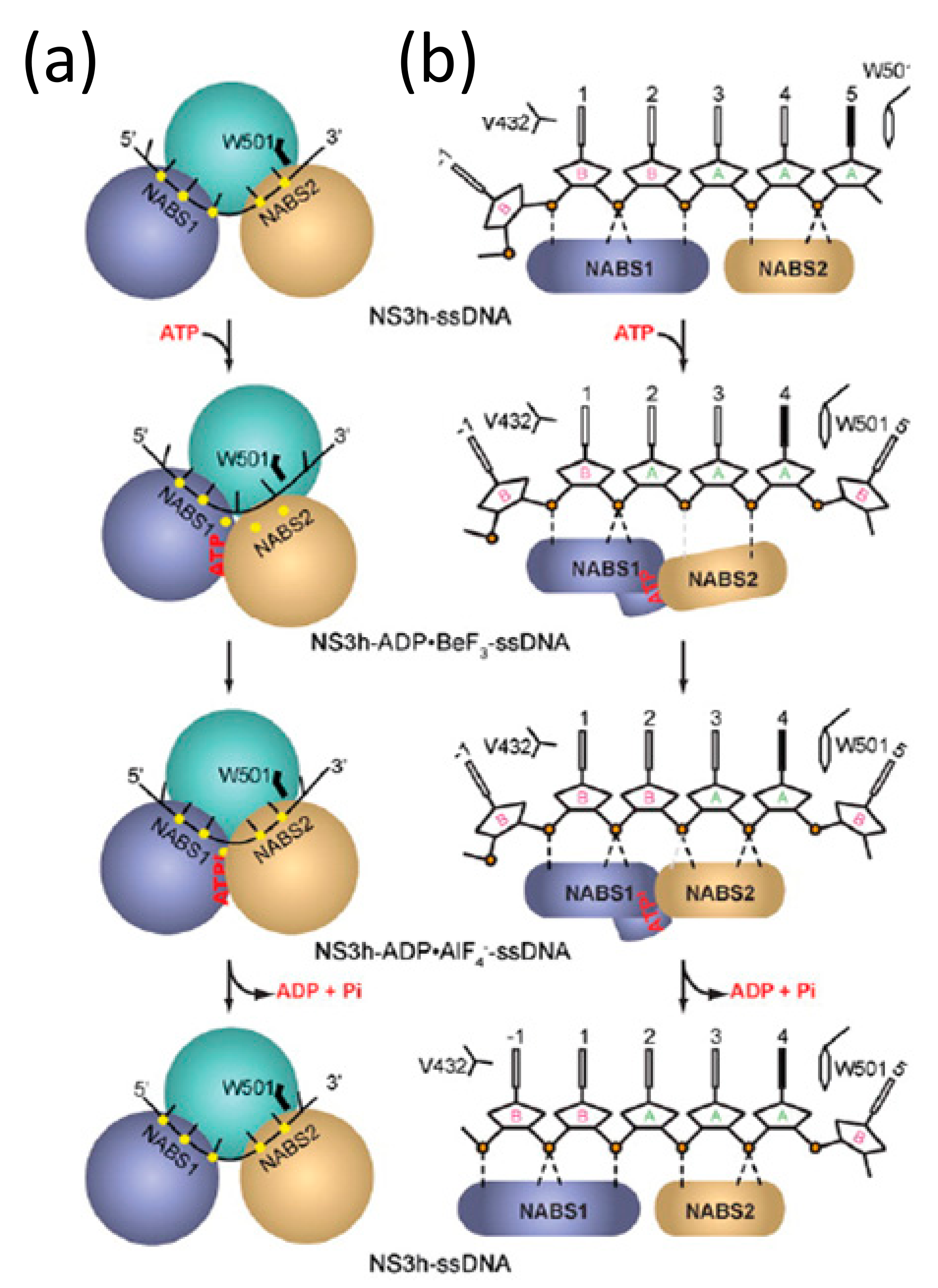 Crystals 07 00253 g005