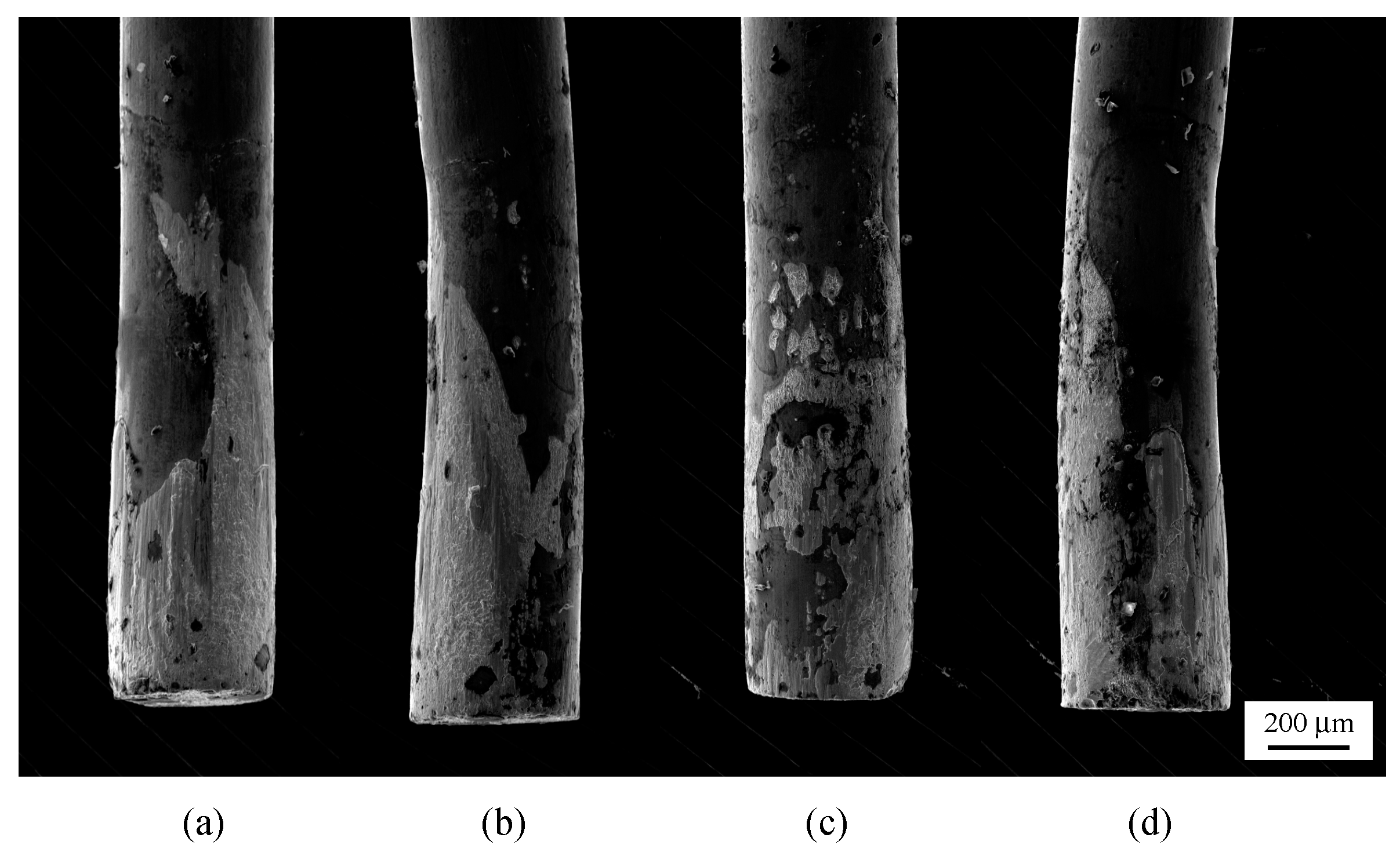Crystals 07 00255 g006