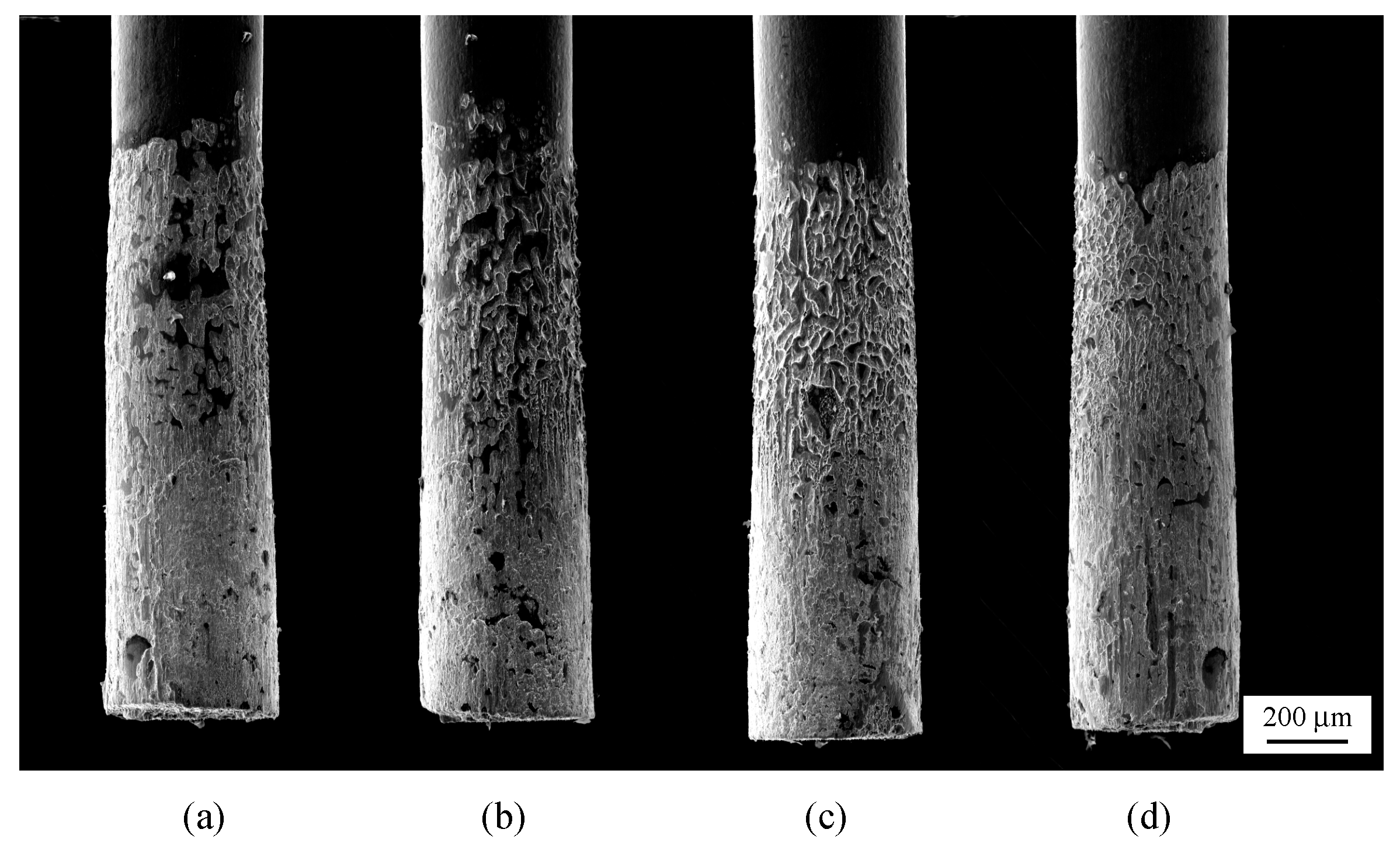 Crystals 07 00255 g007