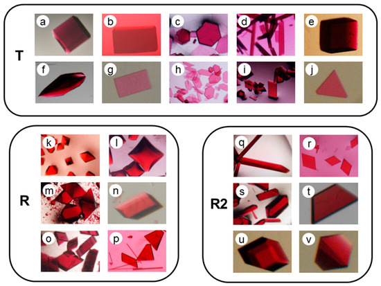 Crystals 07 00282 g001 550