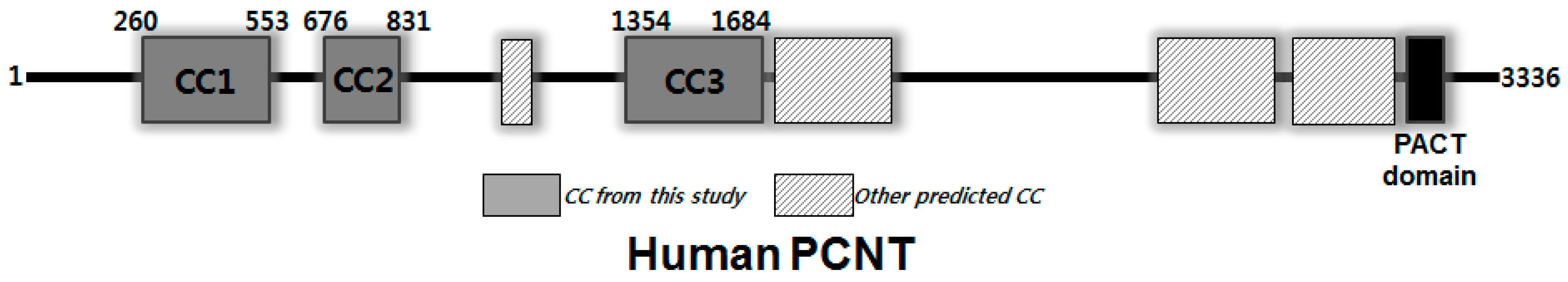 Crystals 07 00296 g001