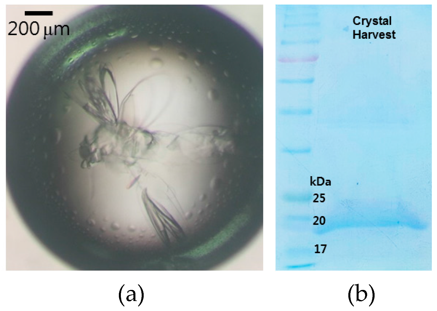 Crystals 07 00296 g004
