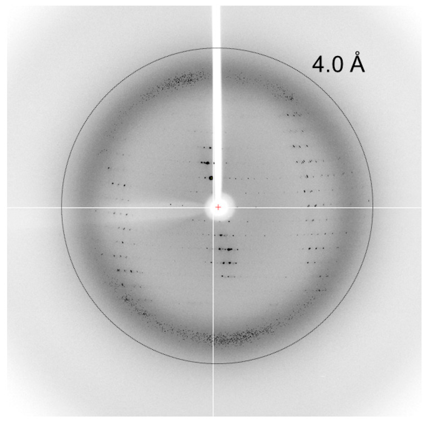 Crystals 07 00296 g005