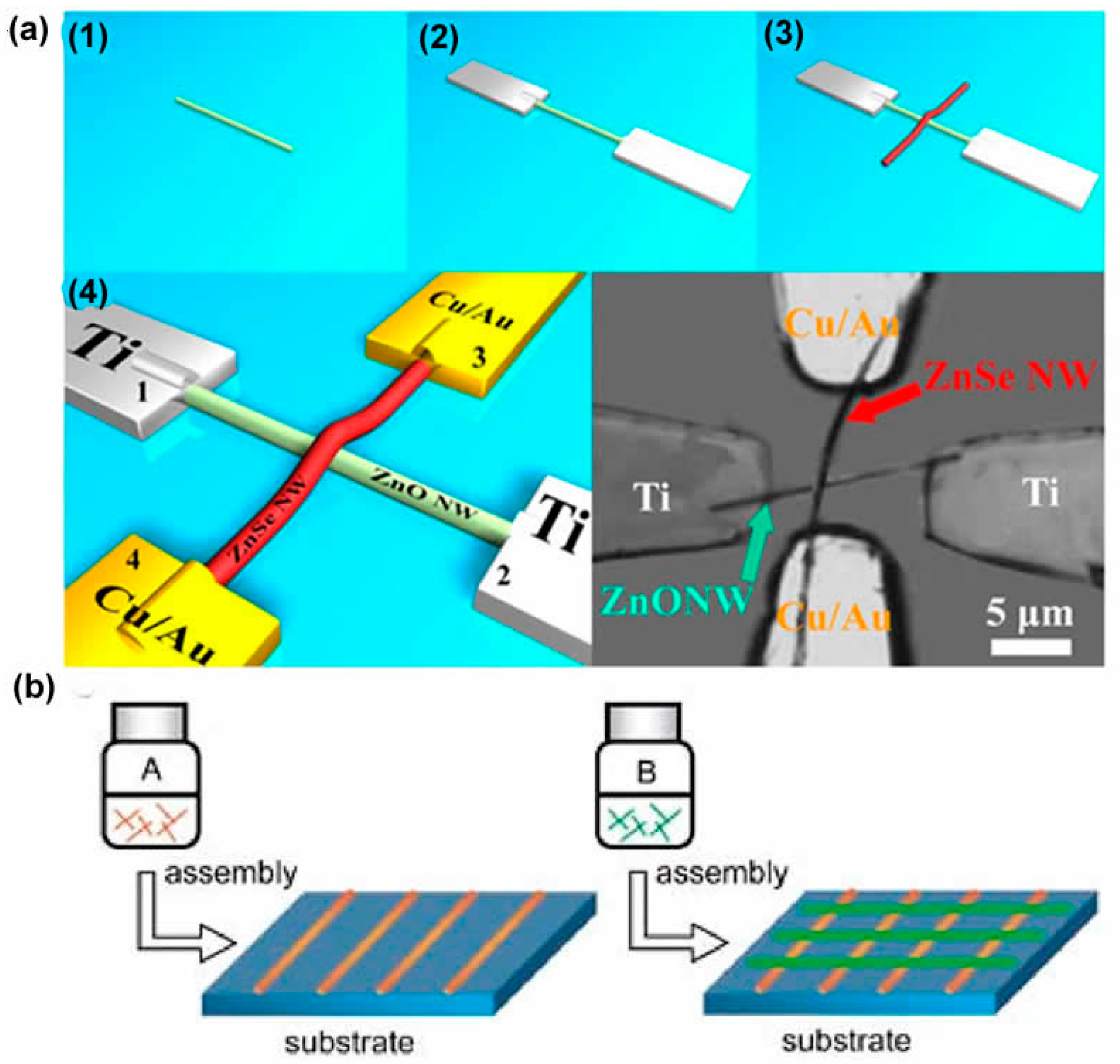 Crystals 07 00307 g007