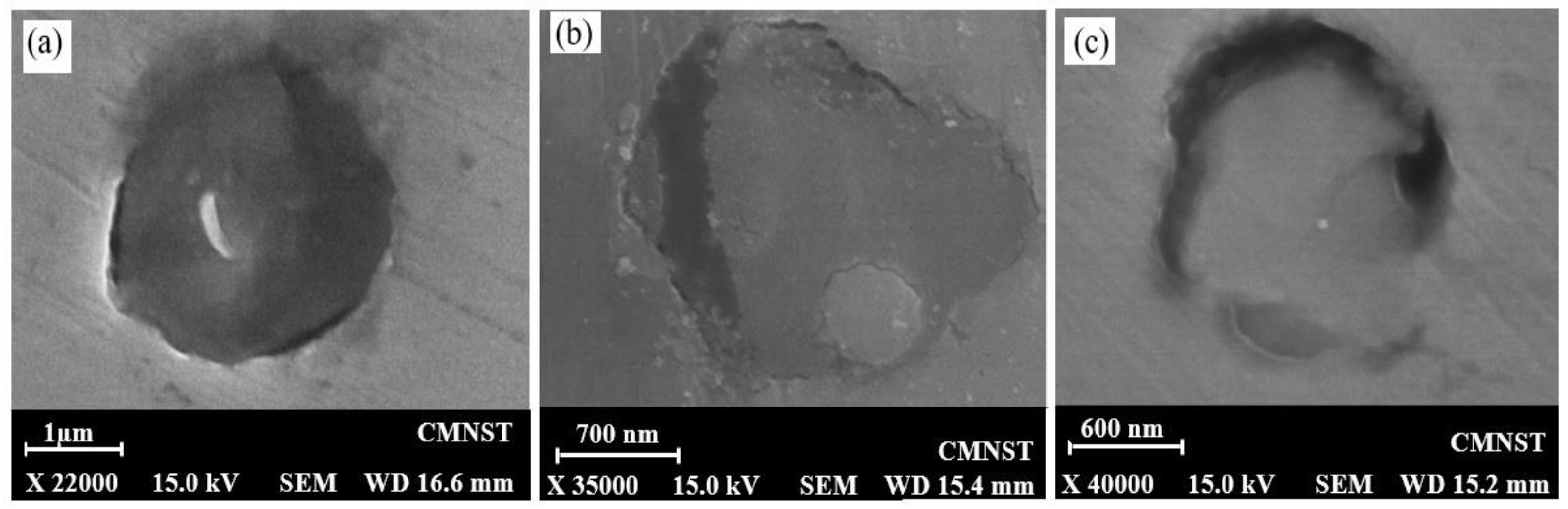 Crystals 07 00308 g003