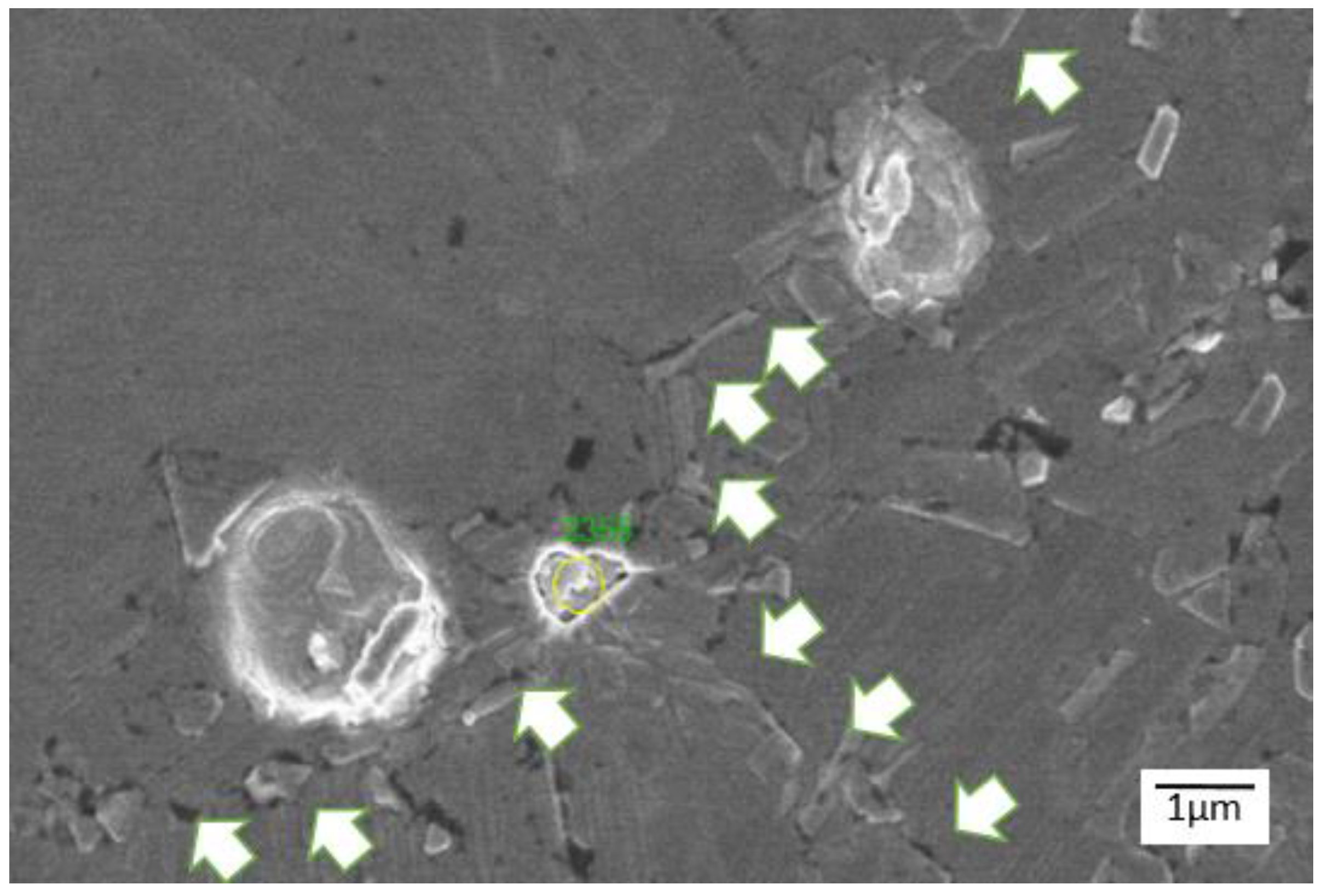 Crystals 07 00308 g006